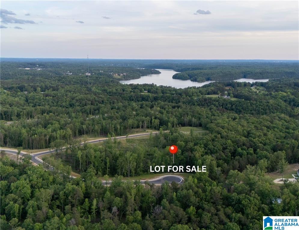 Homes for sale in Tuscaloosa, AL | 50 Lake Island Road, Tuscaloosa, AL 35406 | MLS# 21418727