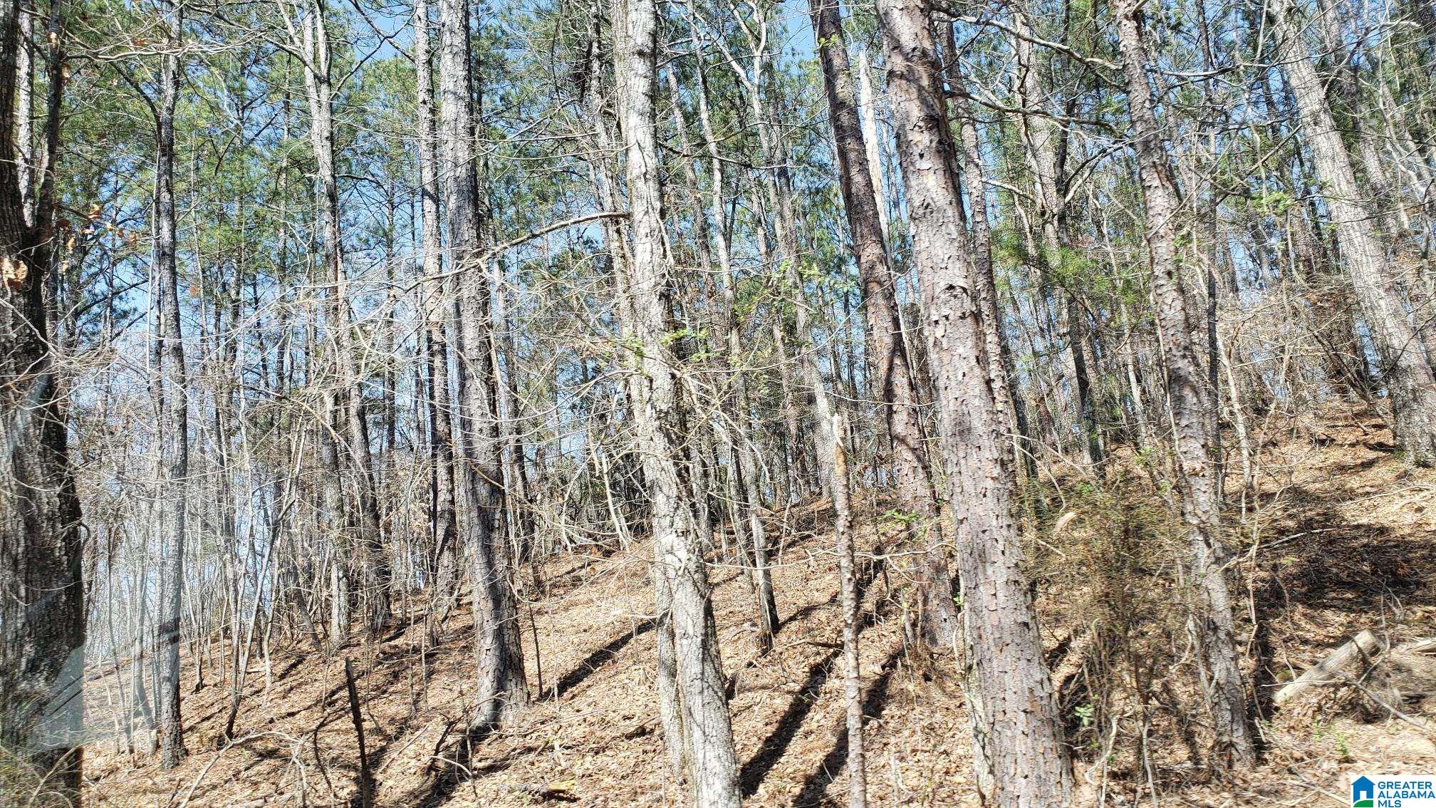 Homes for sale in Verbena, AL | County Road 520, Verbena, AL 36091 | MLS# 21419020