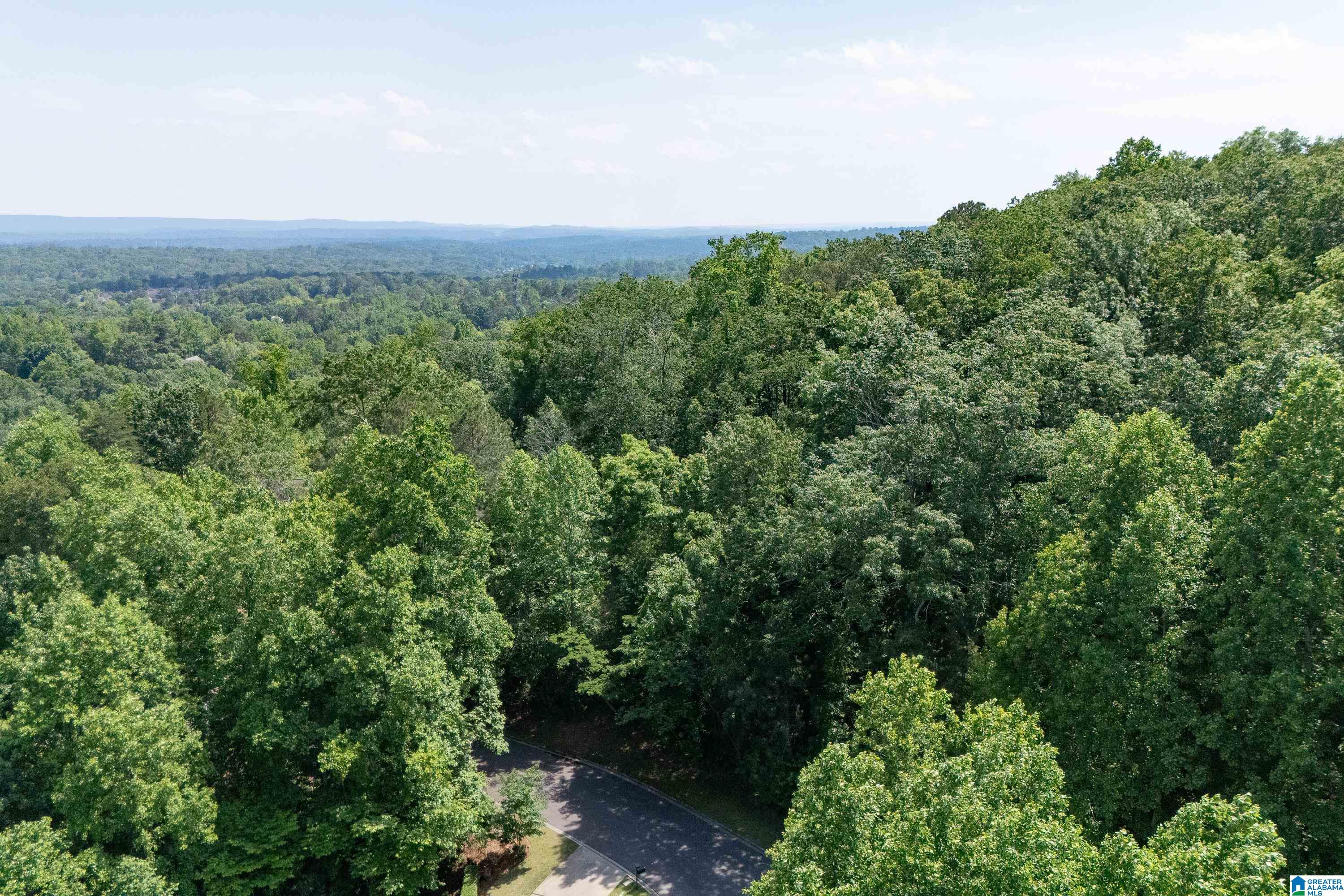 Homes for sale in Vestavia, AL | 1961 Rocky Brook Dr, Vestavia, AL 35243 | MLS# 21419051