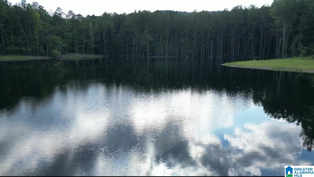 Homes for sale in Vandiver, AL | 799 Magnolia Lane, Vandiver, AL 35147 | MLS# 21419206