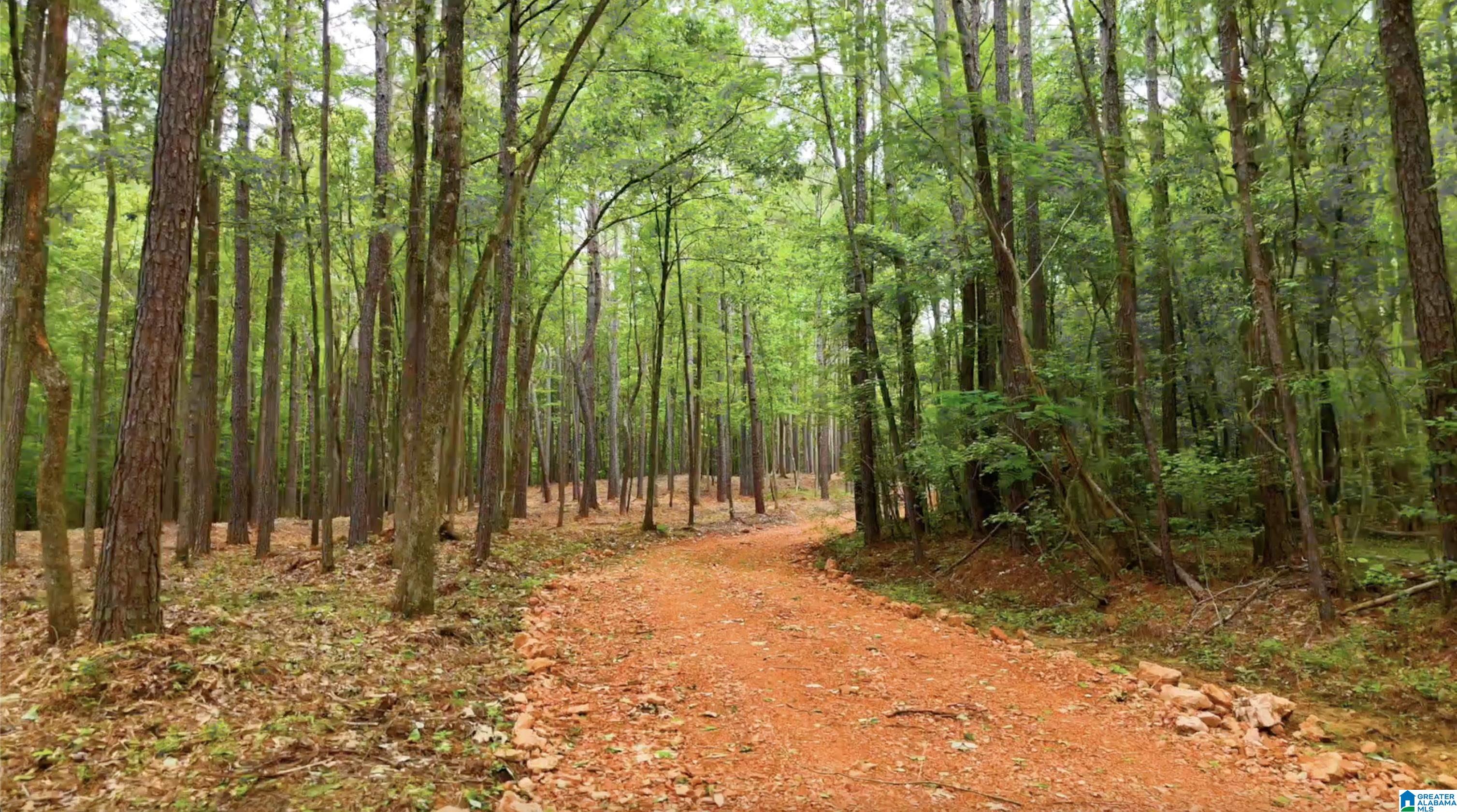 Homes for sale in Vandiver, AL | 799 Magnolia Lane, Vandiver, AL 35147 | MLS# 21419206