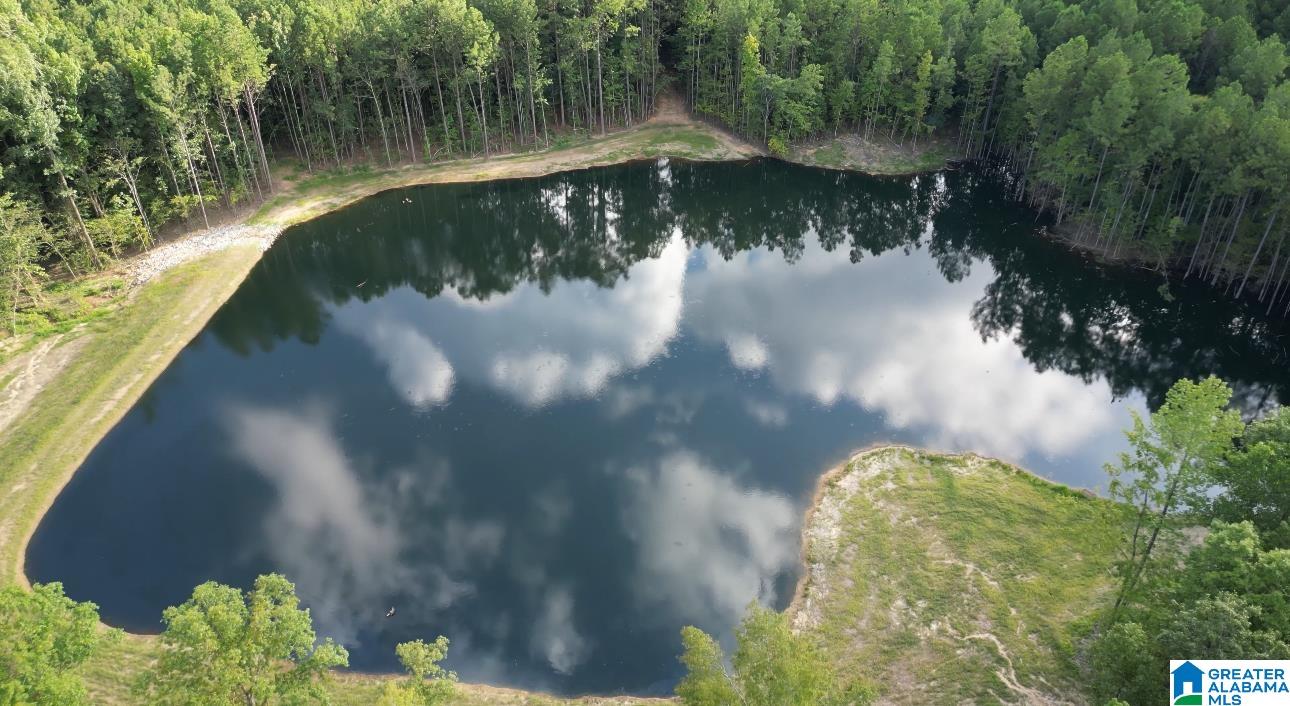 Homes for sale in Vandiver, AL | 799 Magnolia Lane, Vandiver, AL 35147 | MLS# 21419206