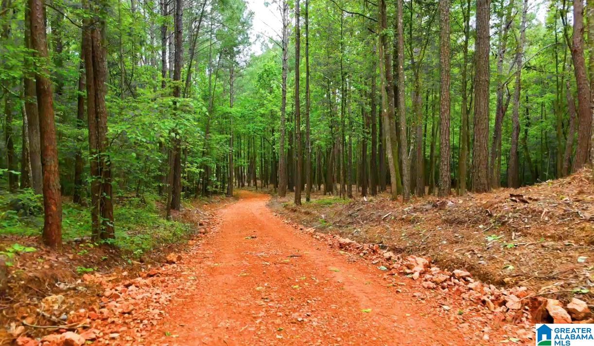 Homes for sale in Vandiver, AL | 799 Magnolia Lane, Vandiver, AL 35147 | MLS# 21419206