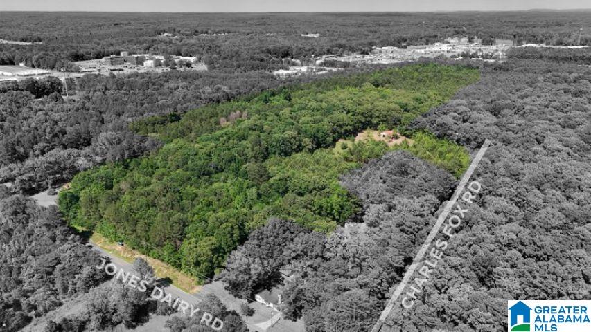 Homes for sale in Jasper, AL | 0 Jones Dairy Road, Jasper, AL 35501 | MLS# 21419563