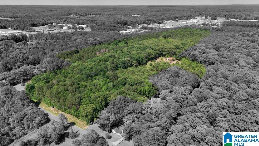 Homes for sale in Jasper, AL | 0 Jones Dairy Road, Jasper, AL 35501 | MLS# 21419563