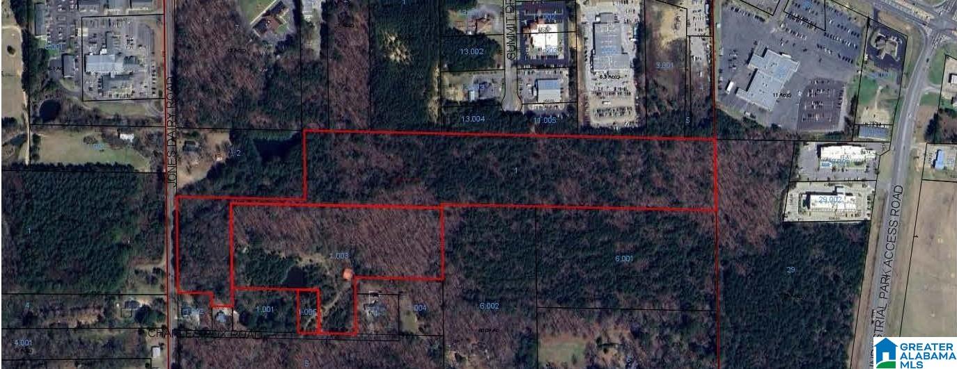 Homes for sale in Jasper, AL | 0 Jones Dairy Road, Jasper, AL 35501 | MLS# 21419563