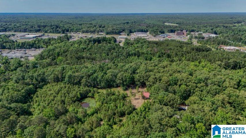 Homes for sale in Jasper, AL | 0 Jones Dairy Road, Jasper, AL 35501 | MLS# 21419563