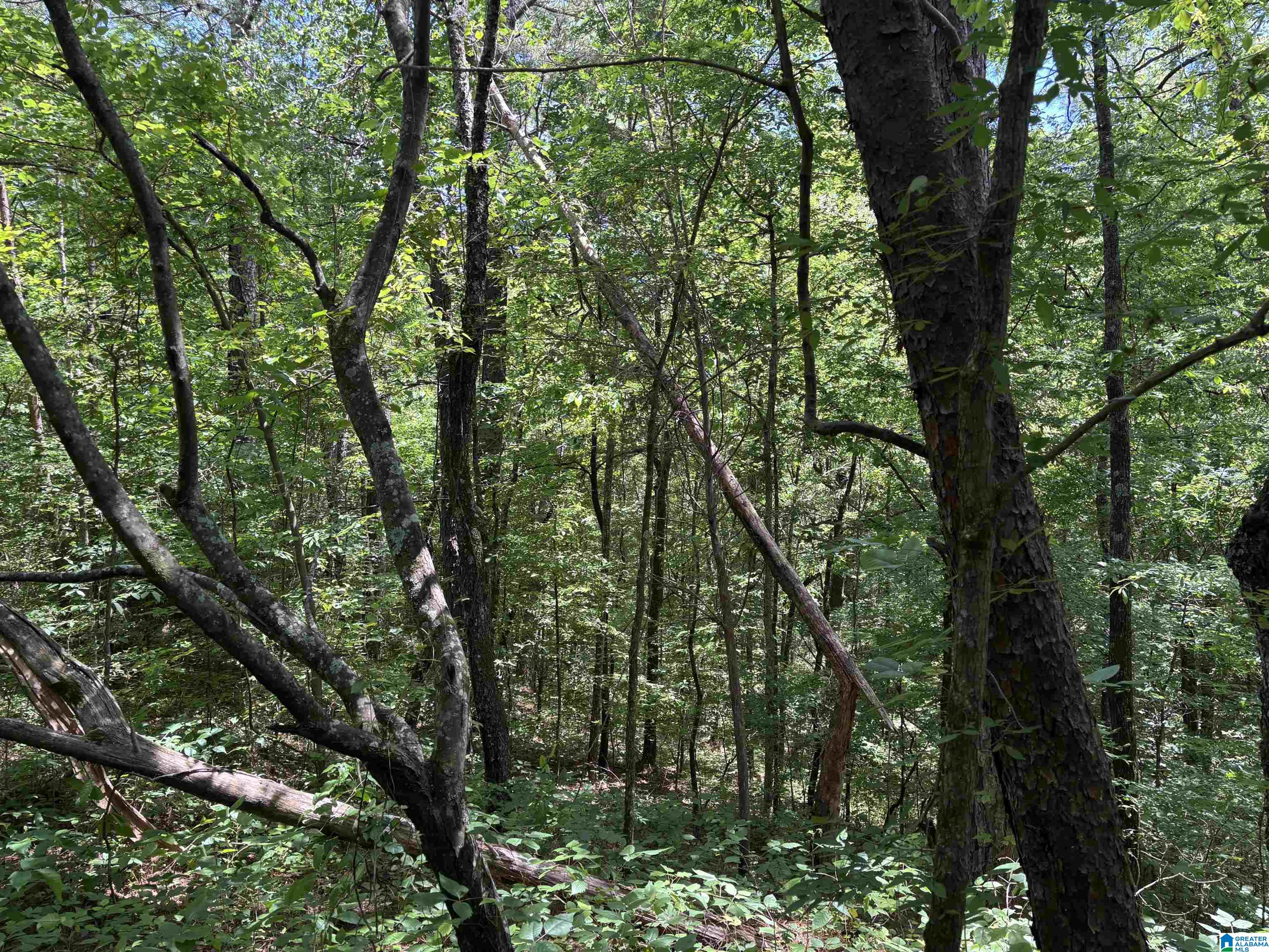 Homes for sale in Pinson, AL | 7454 Narrows Road, Pinson, AL 35126 | MLS# 21419702