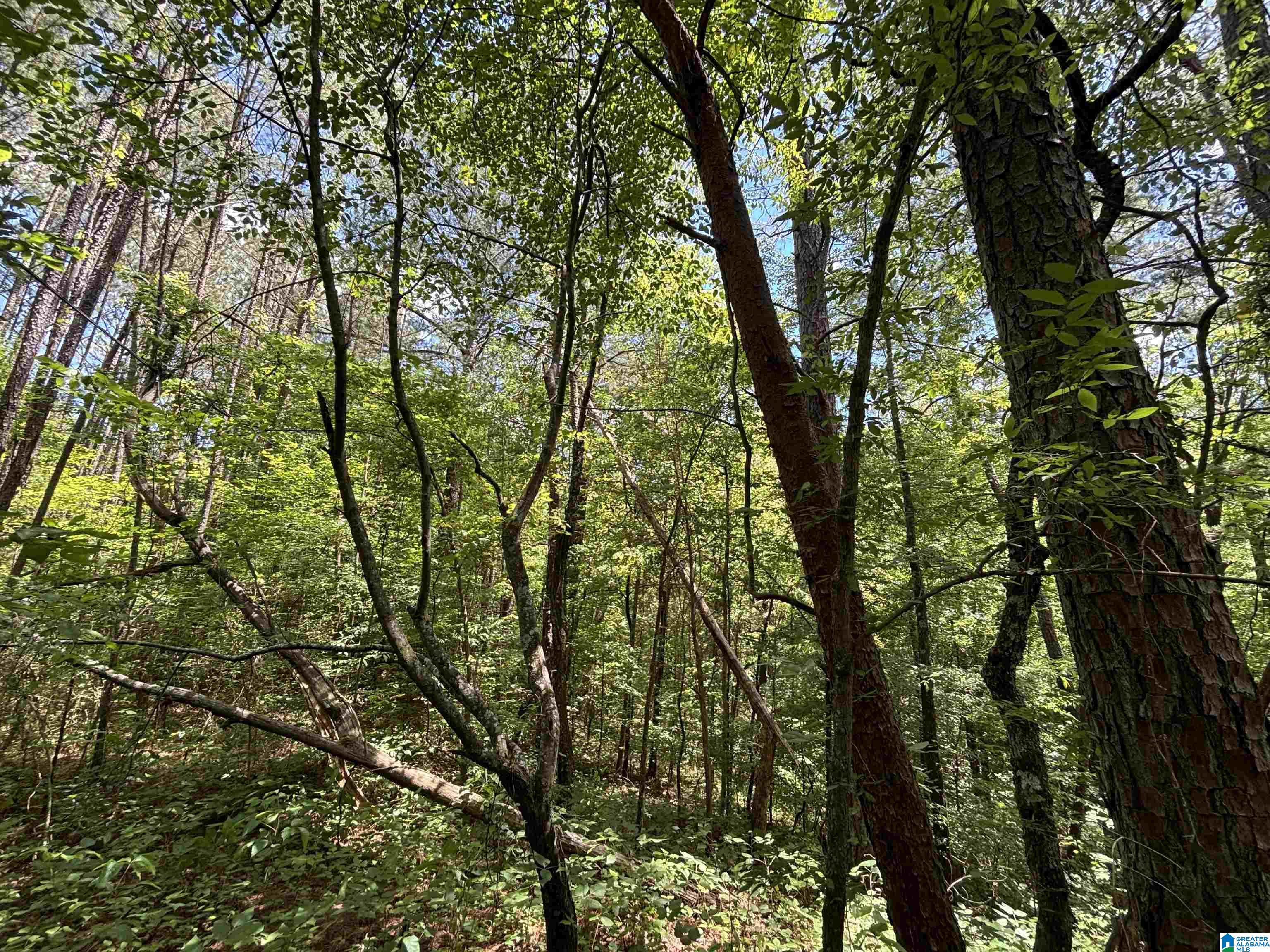 Homes for sale in Pinson, AL | 7454 Narrows Road, Pinson, AL 35126 | MLS# 21419702