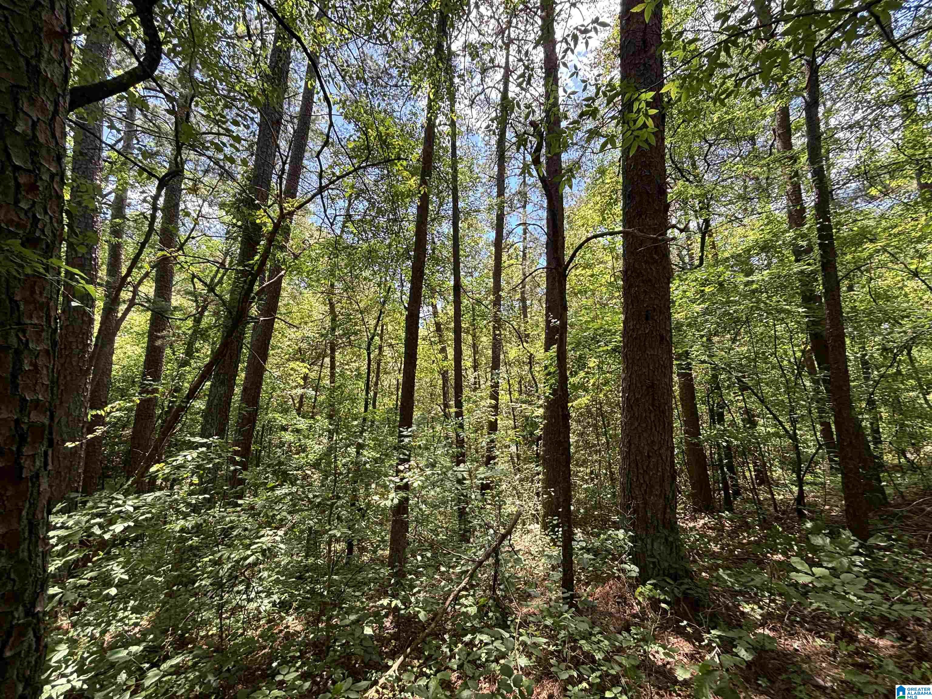 Homes for sale in Pinson, AL | 7454 Narrows Road, Pinson, AL 35126 | MLS# 21419702