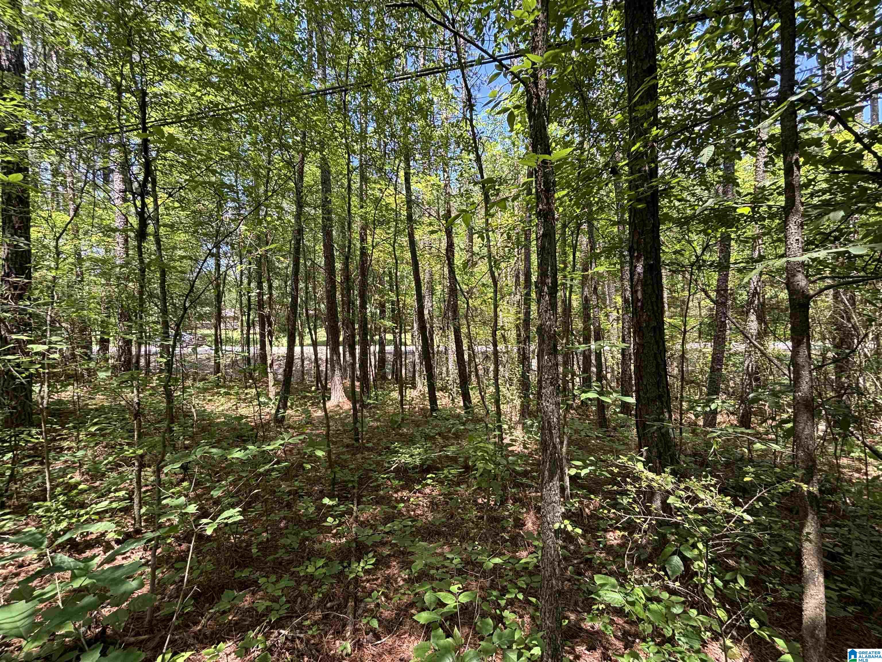 Homes for sale in Pinson, AL | 7454 Narrows Road, Pinson, AL 35126 | MLS# 21419702