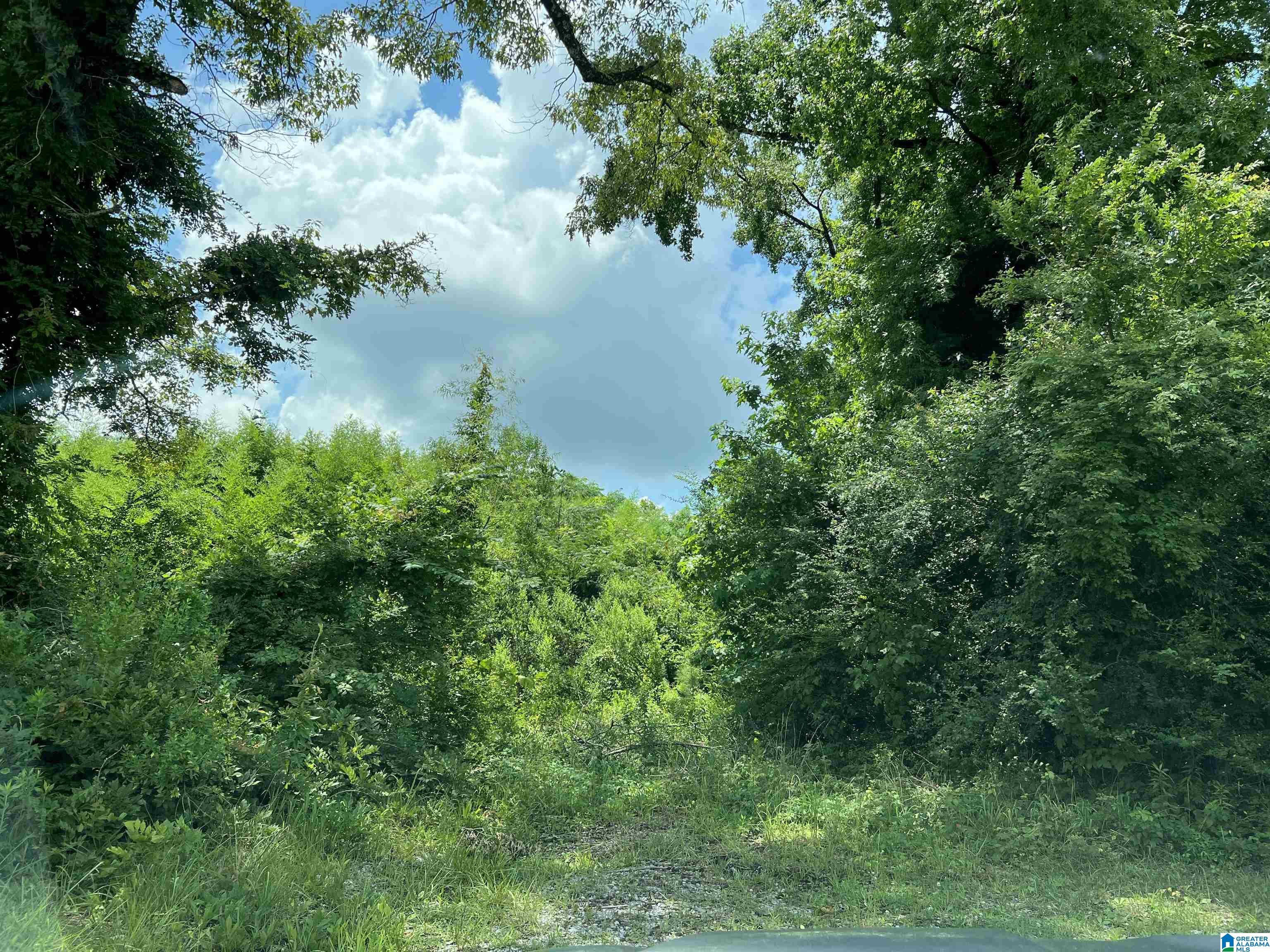 5584 HIGHWAY 25