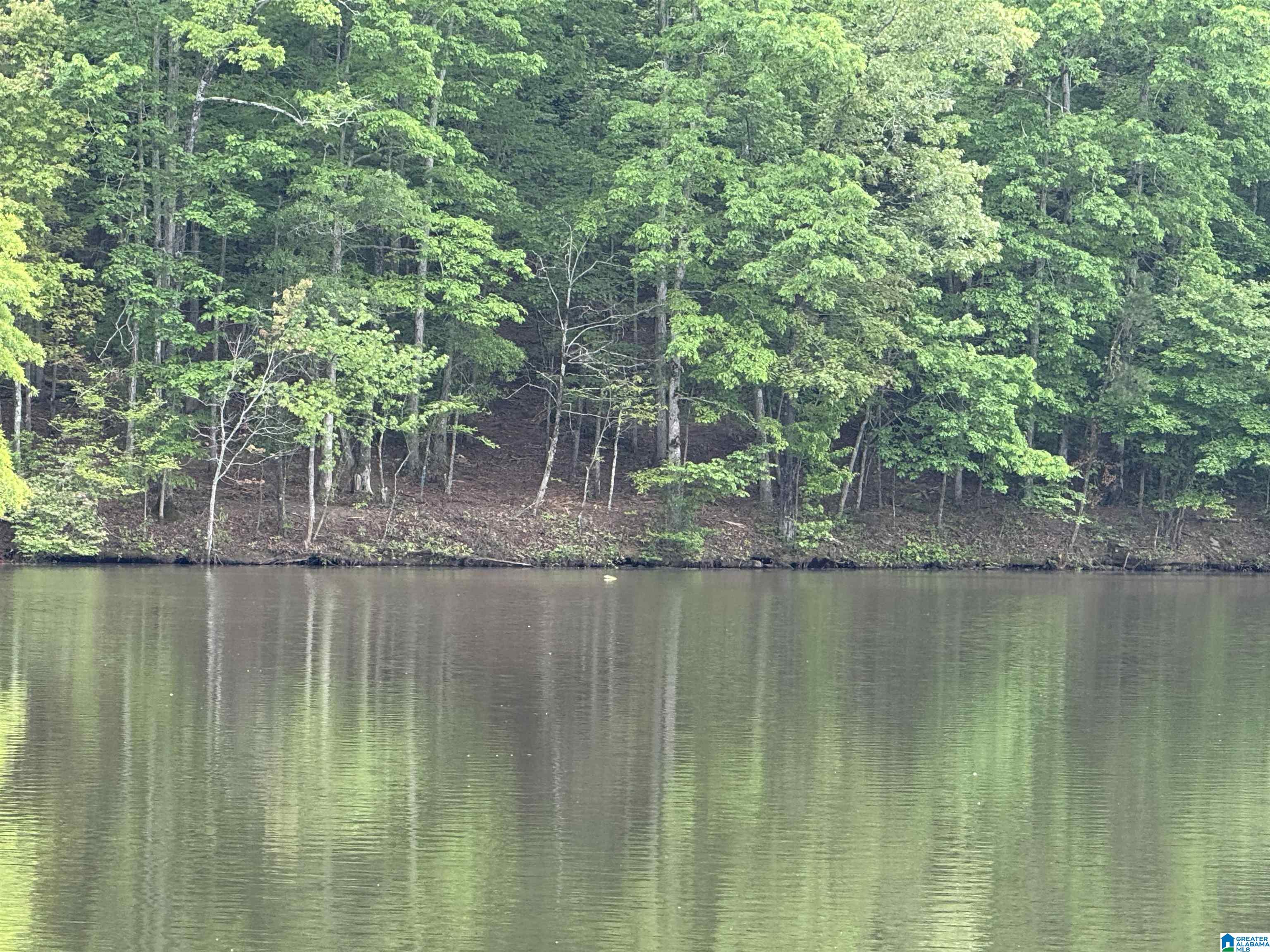 Lot 2 OLD HIGHWAY 431