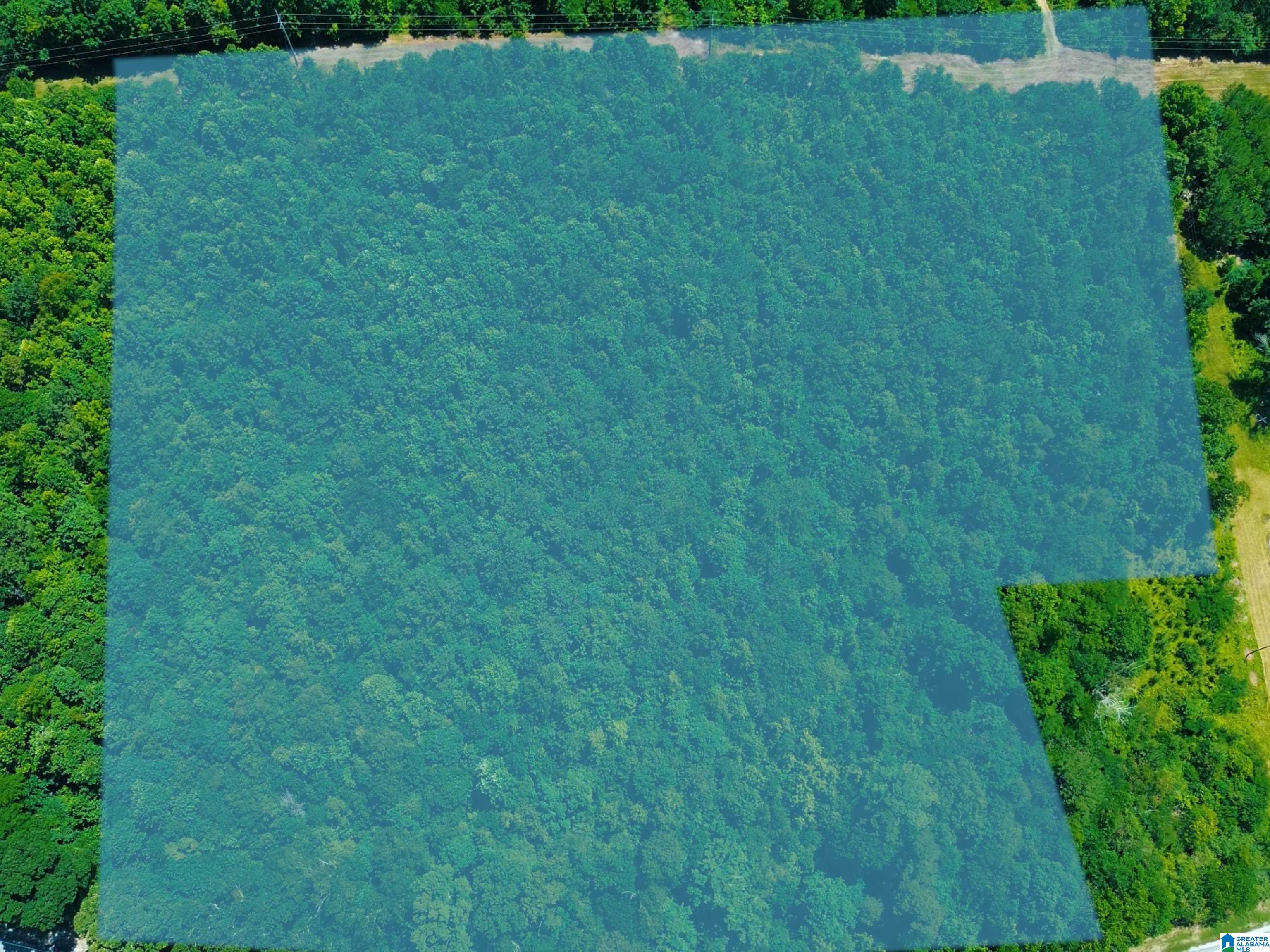 Homes for sale in Piedmont, AL | 75 Acres Us Hwy 278, Piedmont, AL 36272 | MLS# 21420126