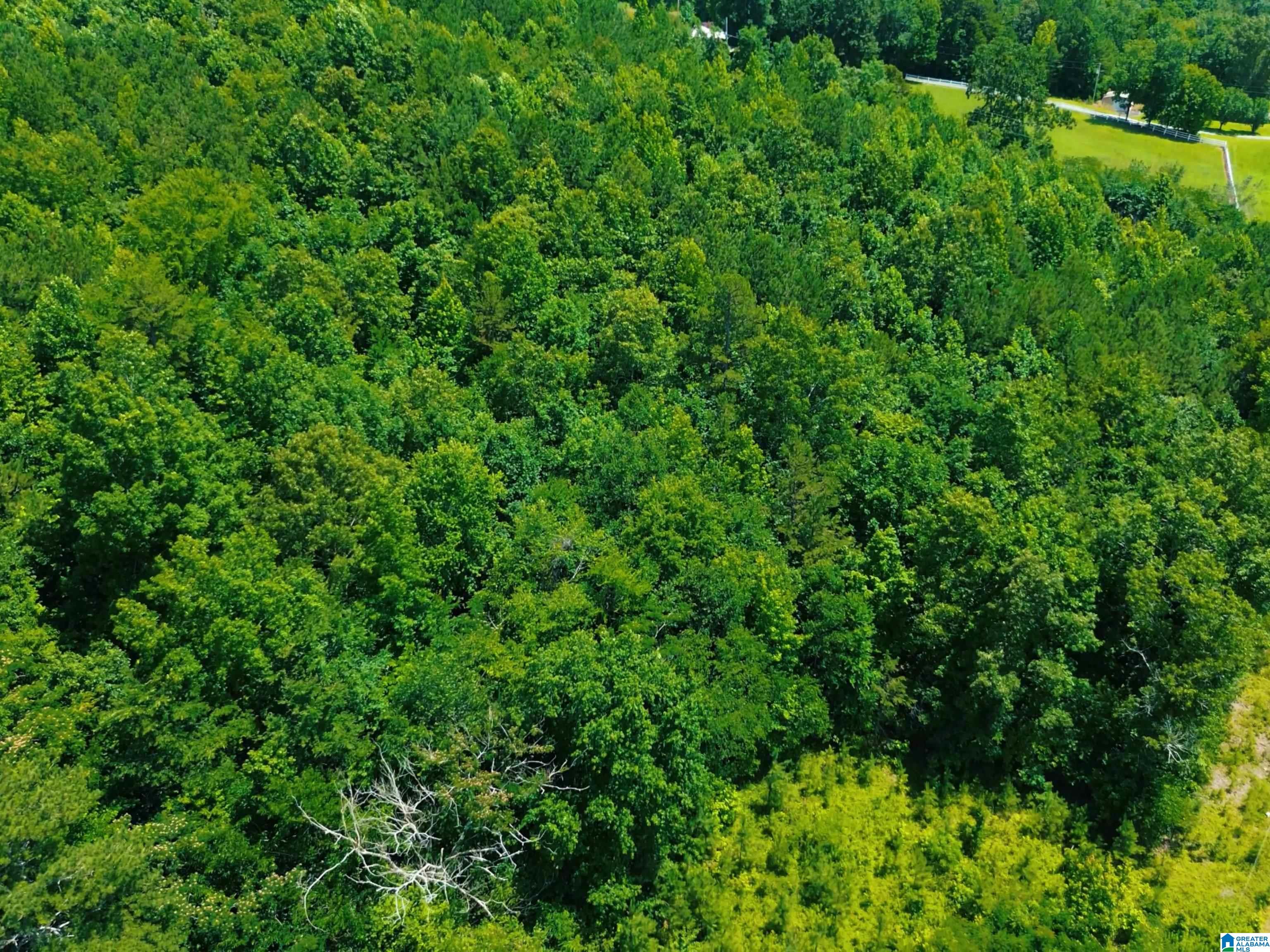 Homes for sale in Piedmont, AL | 75 Acres Us Hwy 278, Piedmont, AL 36272 | MLS# 21420126