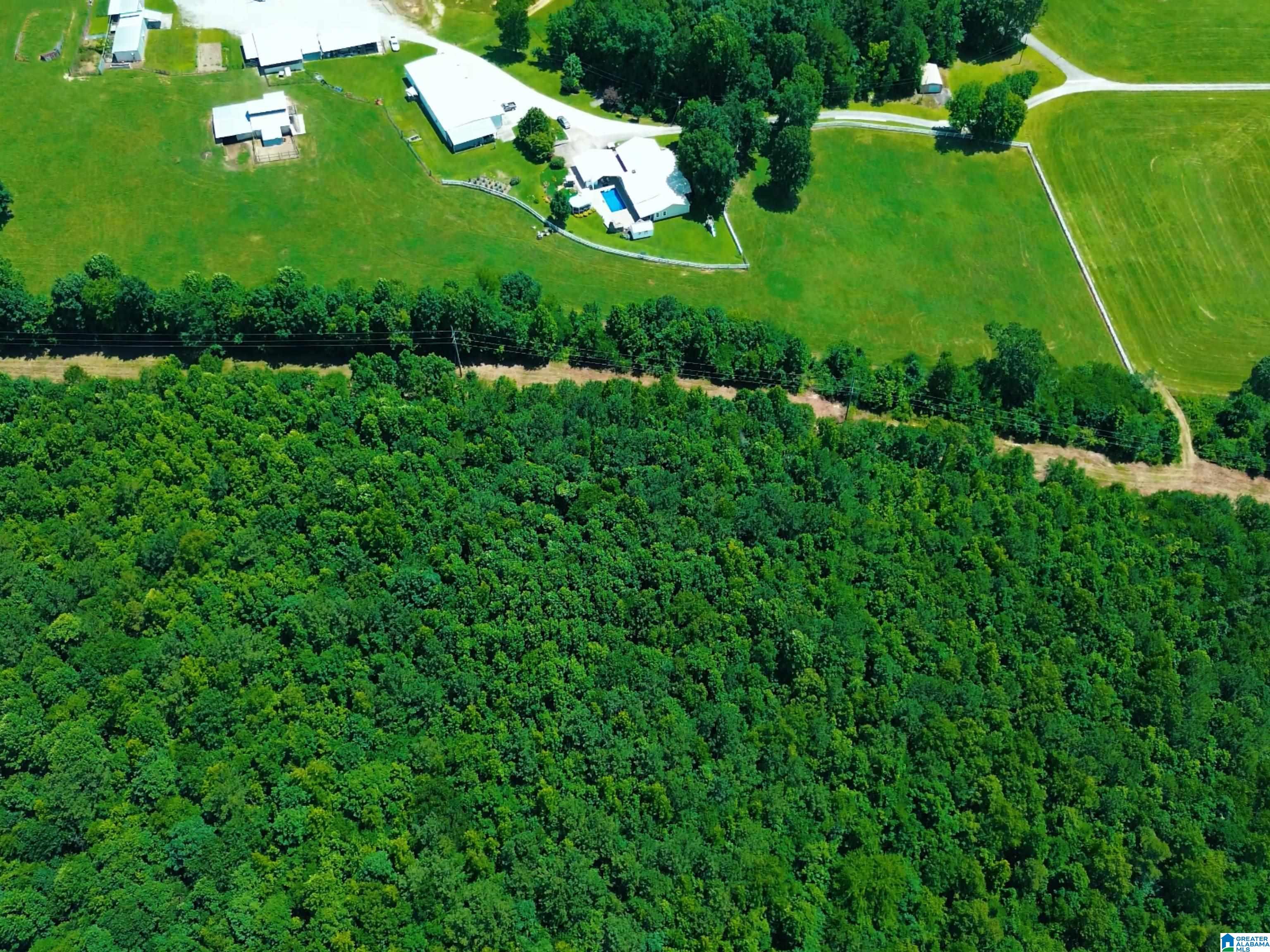 Homes for sale in Piedmont, AL | 75 Acres Us Hwy 278, Piedmont, AL 36272 | MLS# 21420126