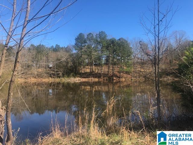 Homes for sale in Locust Fork, AL | #0 Shady Point Road, Locust Fork, AL 35097 | MLS# 21420179