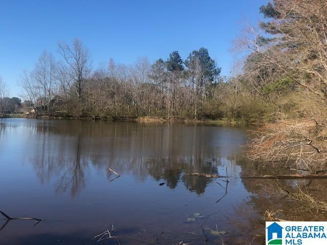 Homes for sale in Locust Fork, AL | #0 Shady Point Road, Locust Fork, AL 35097 | MLS# 21420179