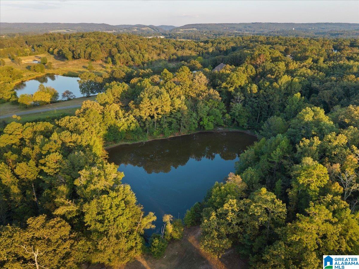 Homes for sale in Locust Fork, AL | #0 Shady Point Road, Locust Fork, AL 35097 | MLS# 21420179