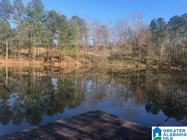 Homes for sale in Locust Fork, AL | #0 Shady Point Road, Locust Fork, AL 35097 | MLS# 21420179