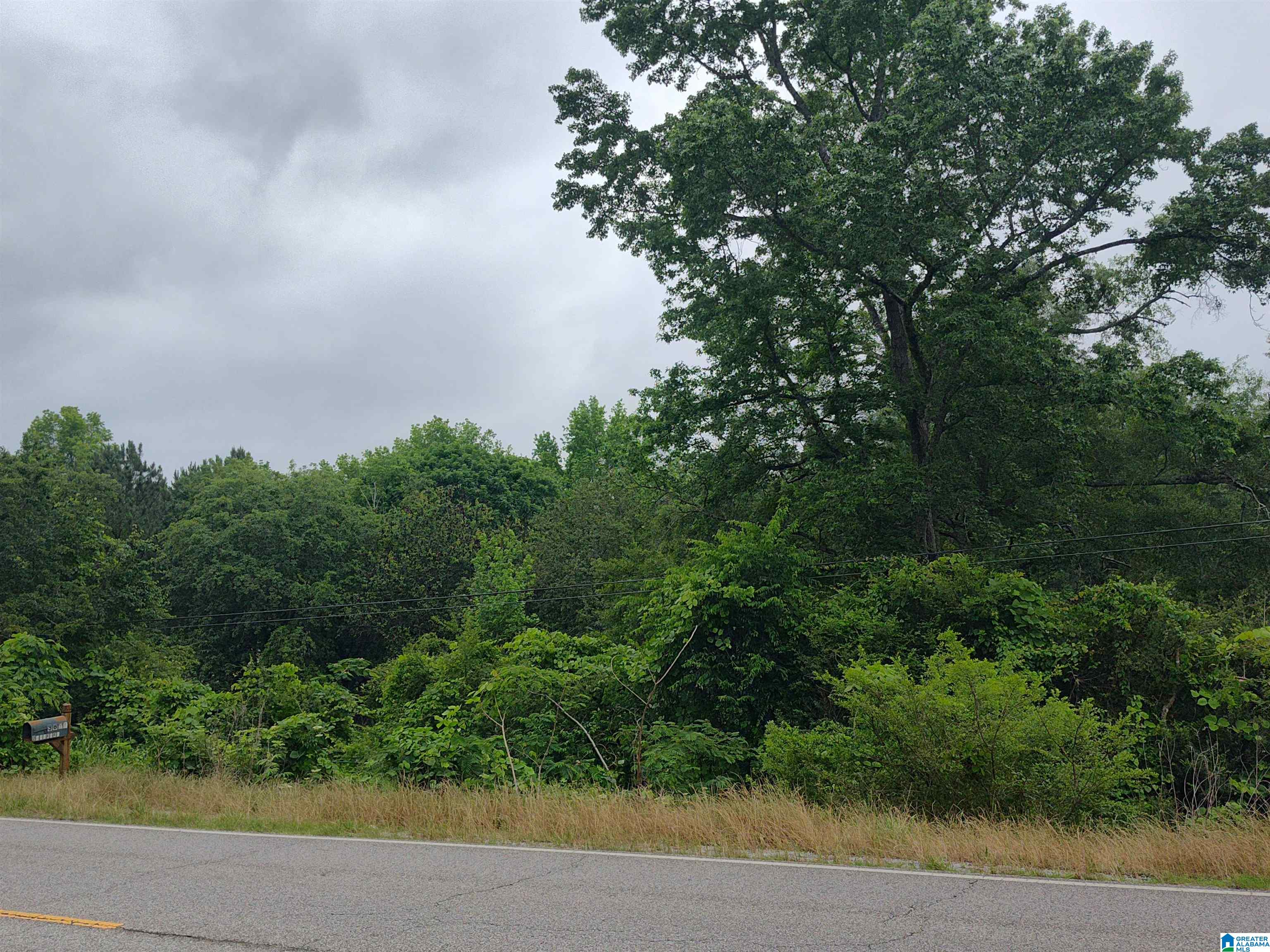 Homes for sale in Cropwell, AL | 3640 Logan Martin Dam Road, Cropwell, AL 35054 | MLS# 21420239