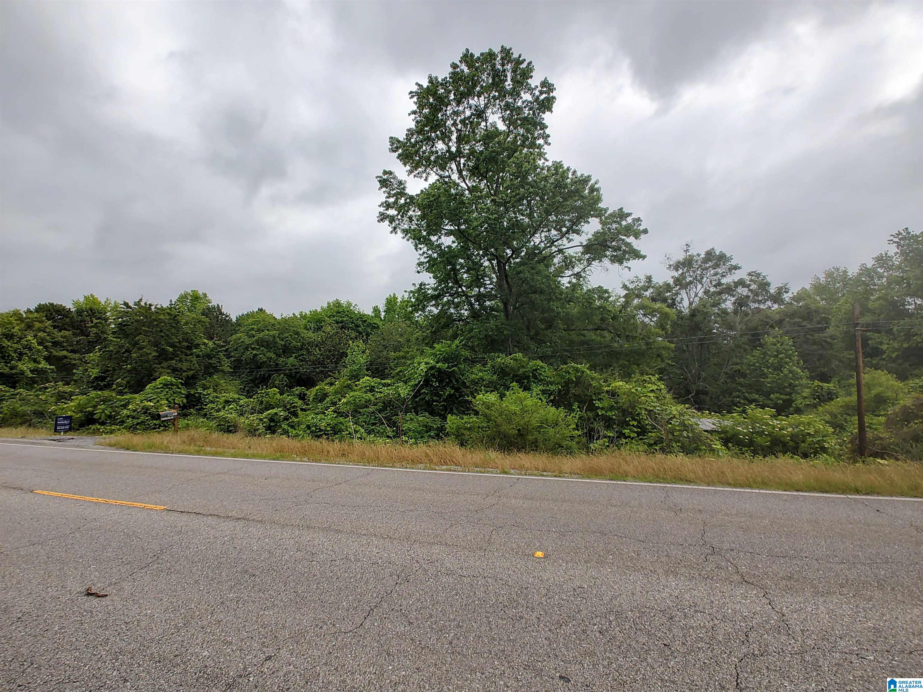 Homes for sale in Cropwell, AL | 3640 Logan Martin Dam Road, Cropwell, AL 35054 | MLS# 21420239