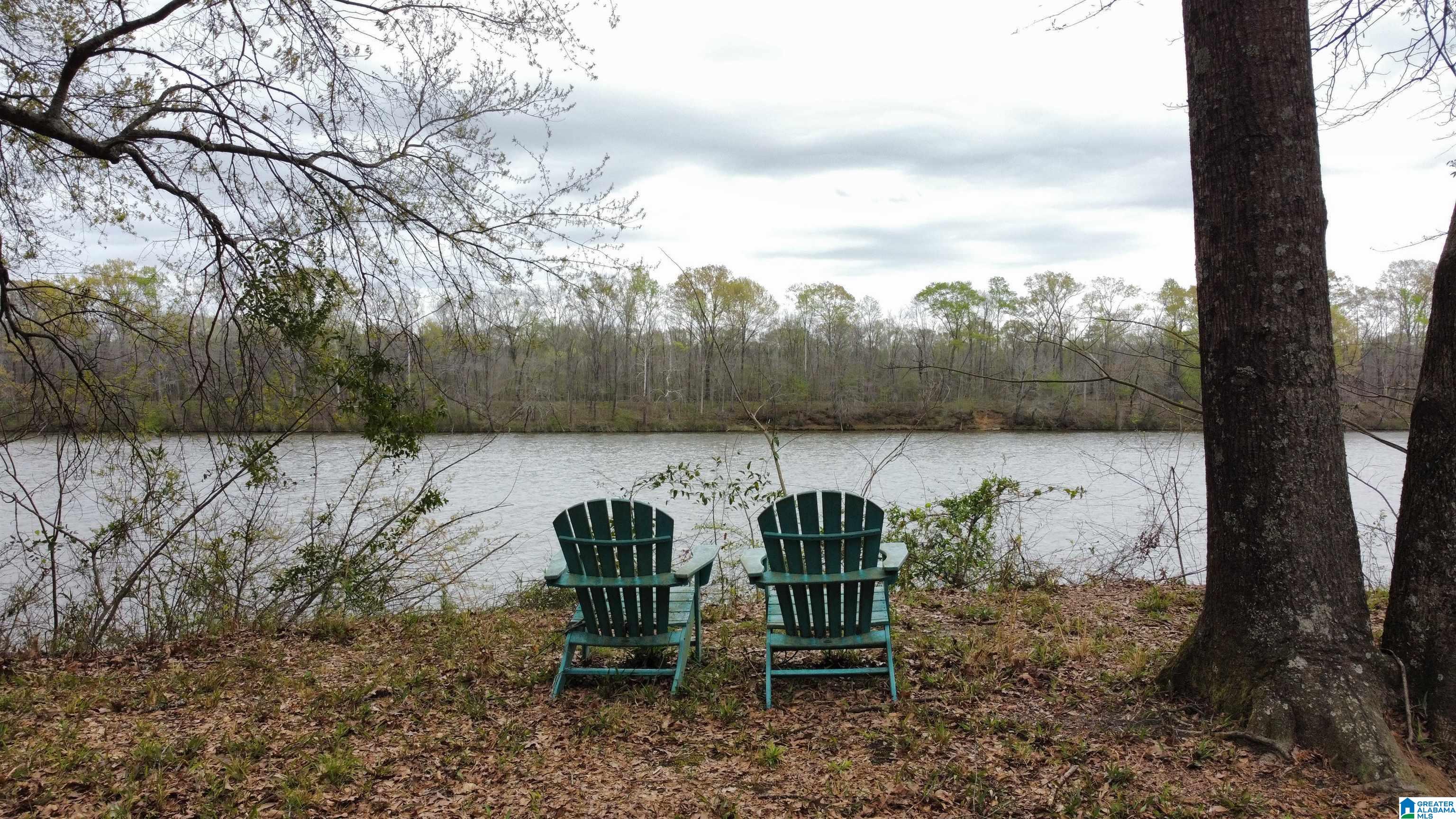 Homes for sale in Vincent, AL | 551 Liberty Shores Boulevard, Vincent, AL 35178 | MLS# 21420293