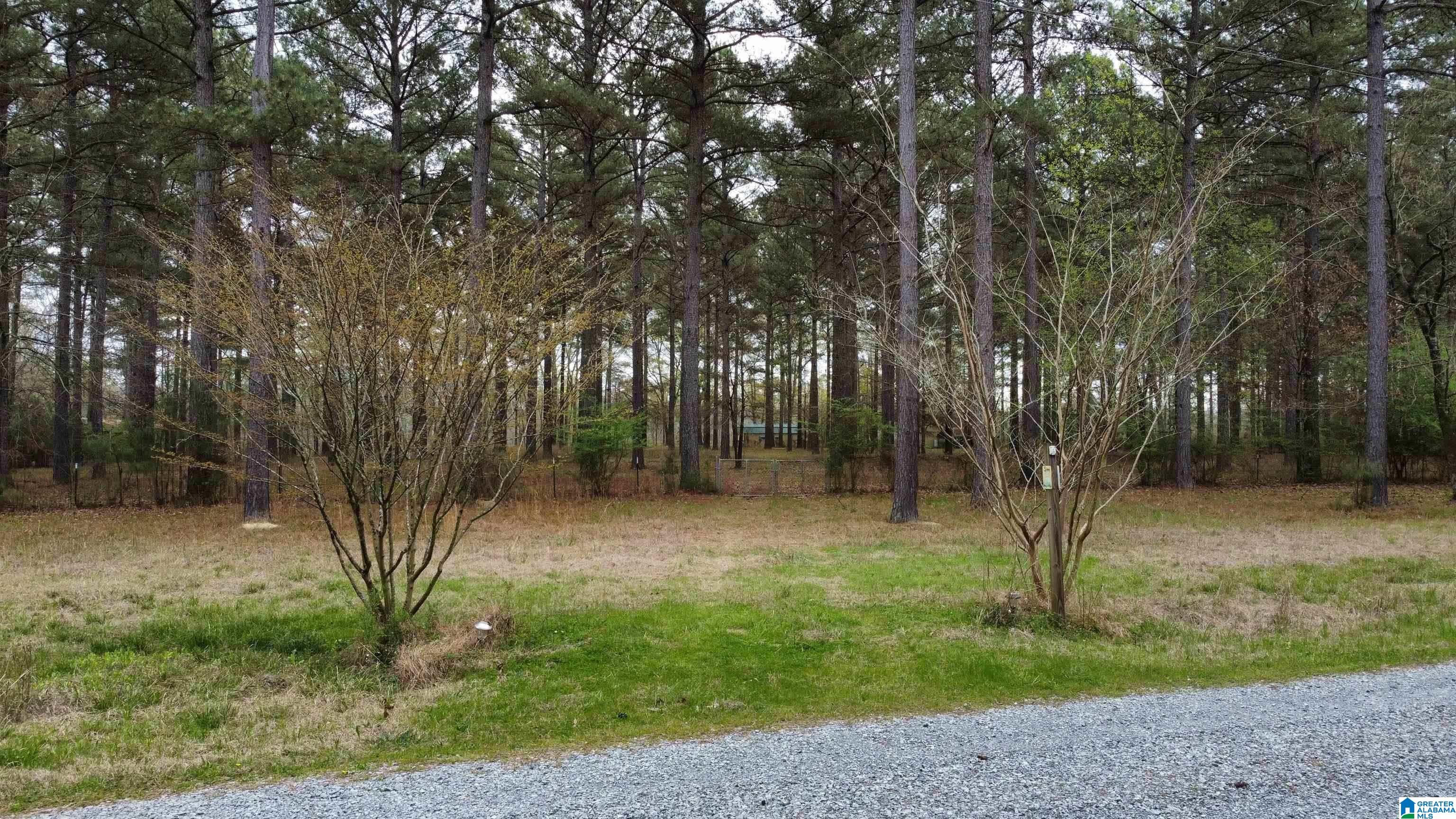 Homes for sale in Vincent, AL | 551 Liberty Shores Boulevard, Vincent, AL 35178 | MLS# 21420293