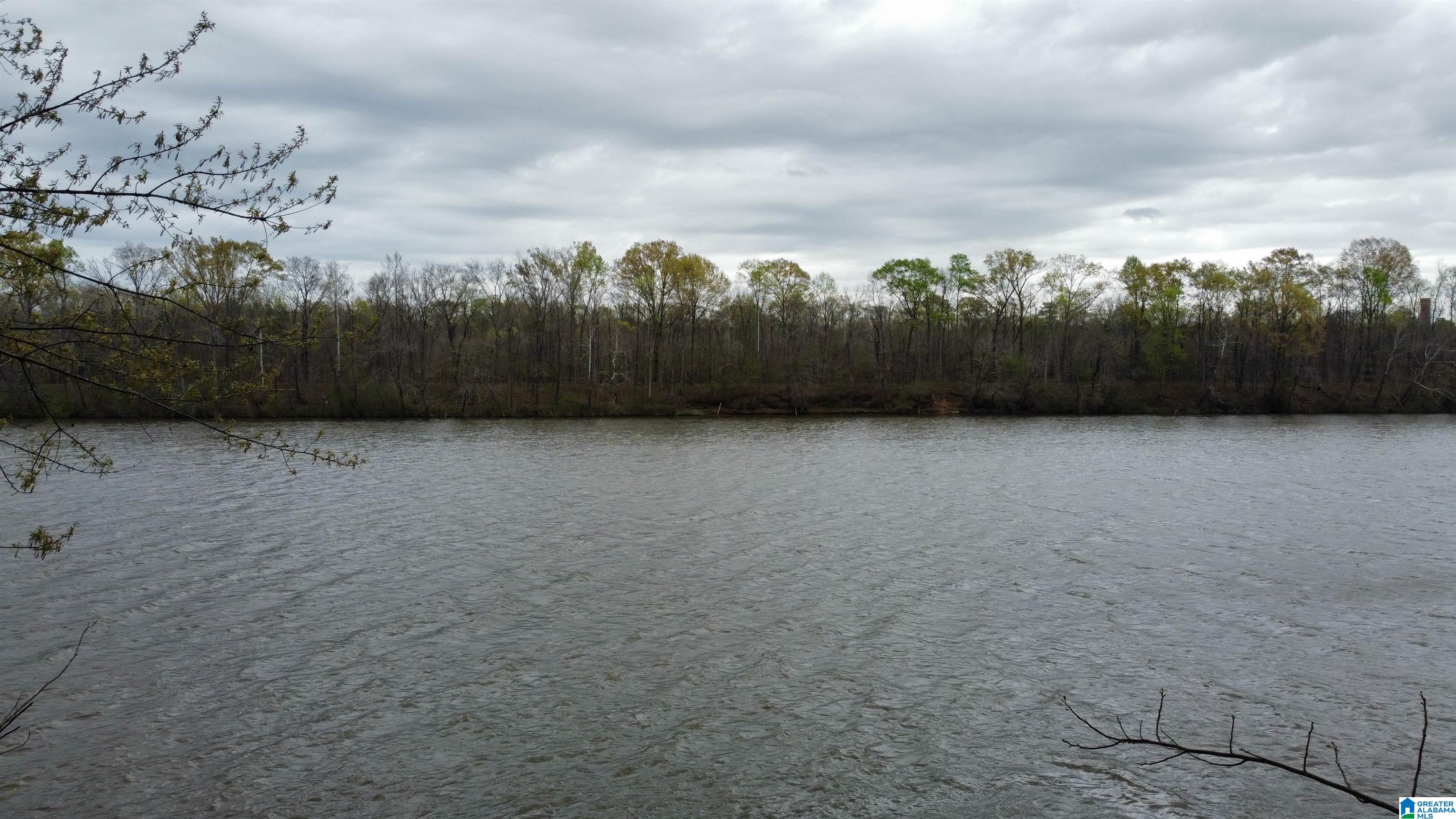 Homes for sale in Vincent, AL | 551 Liberty Shores Boulevard, Vincent, AL 35178 | MLS# 21420293