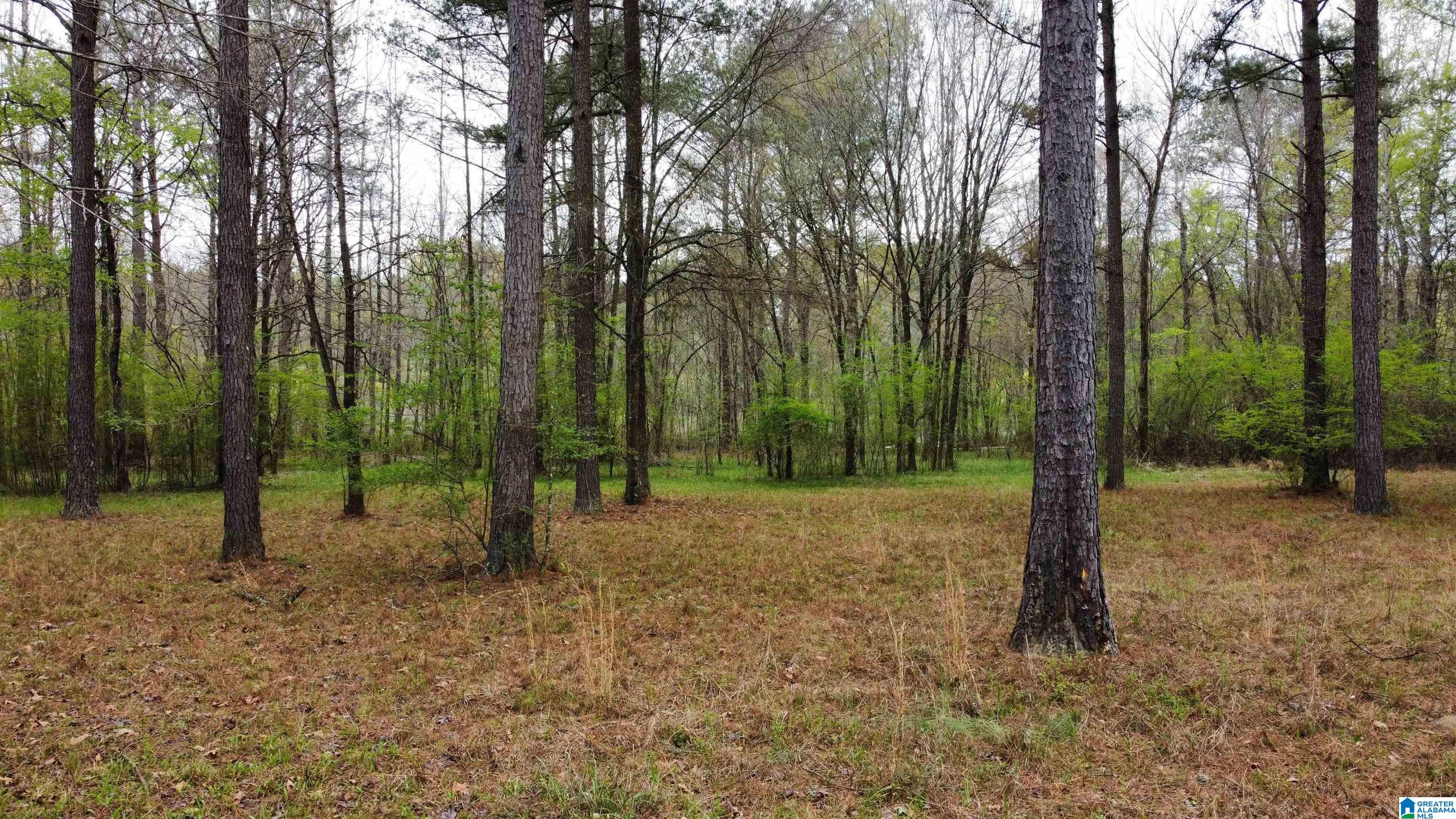 Homes for sale in Vincent, AL | 551 Liberty Shores Boulevard, Vincent, AL 35178 | MLS# 21420293