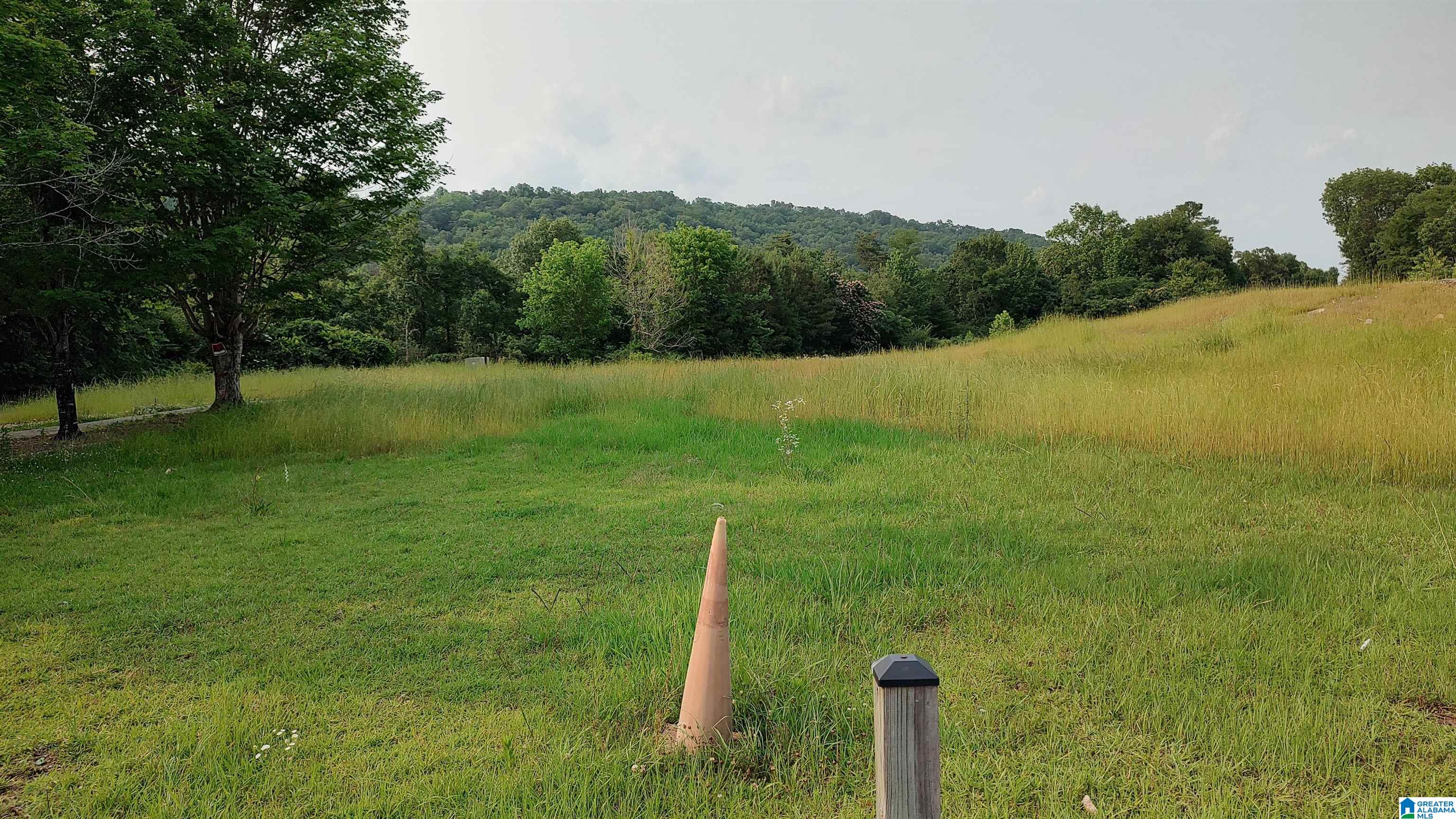 20 MILL CREEK ROAD