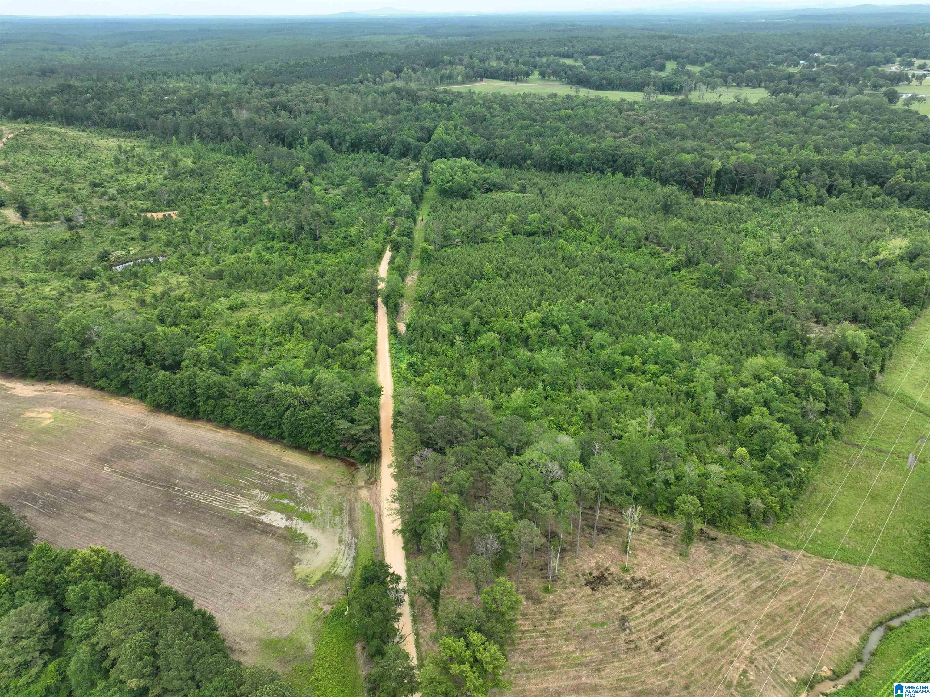 Homes for sale in Wilsonville, AL | Jackson Farm Road, Wilsonville, AL 35186 | MLS# 21420738