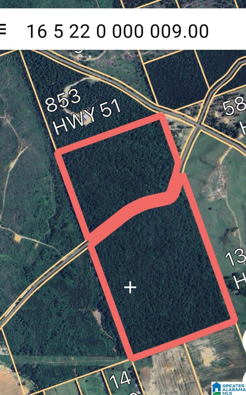 Homes for sale in Wilsonville, AL | Jackson Farm Road, Wilsonville, AL 35186 | MLS# 21420738