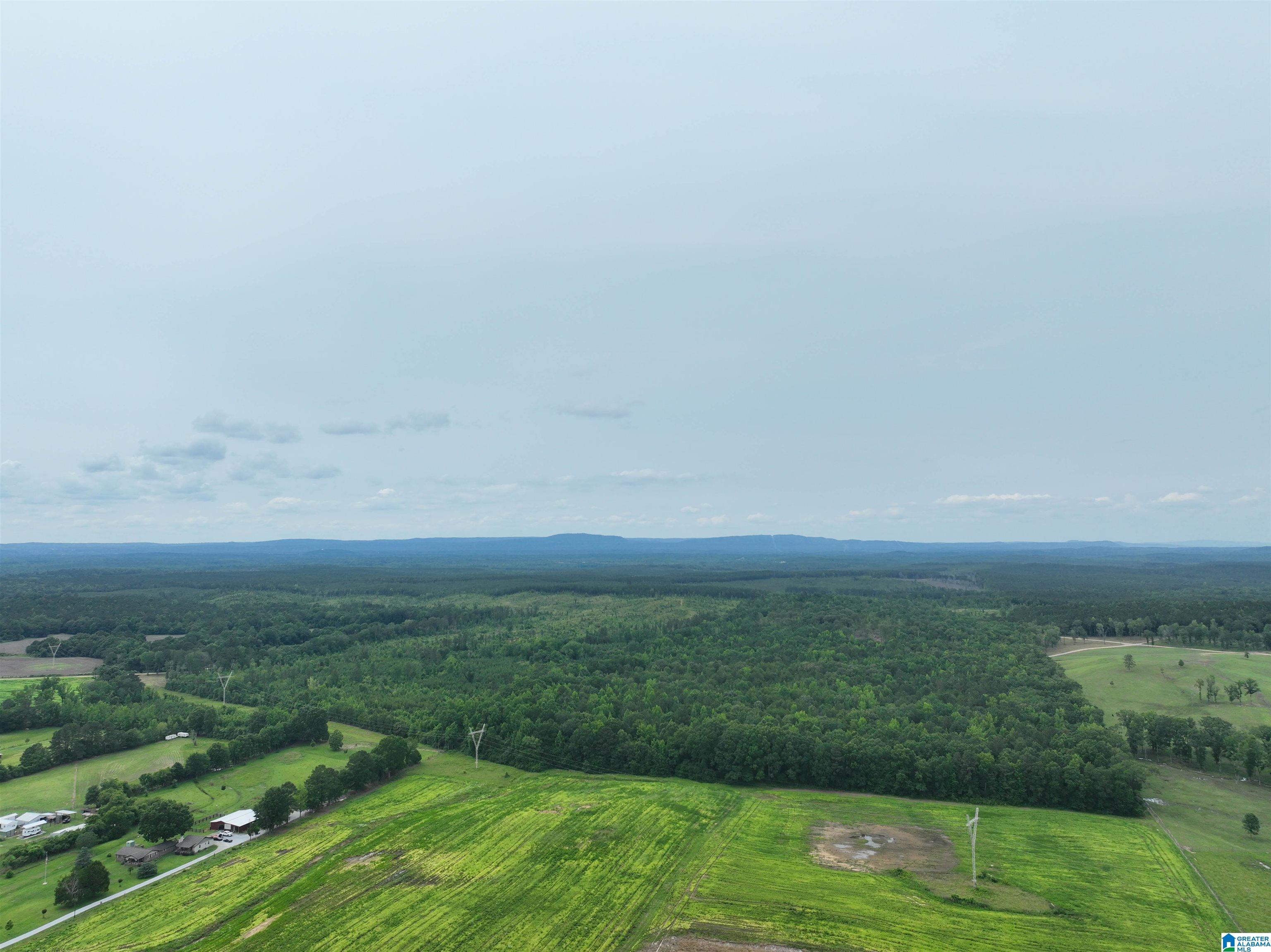 Homes for sale in Wilsonville, AL | Jackson Farm Road, Wilsonville, AL 35186 | MLS# 21420738