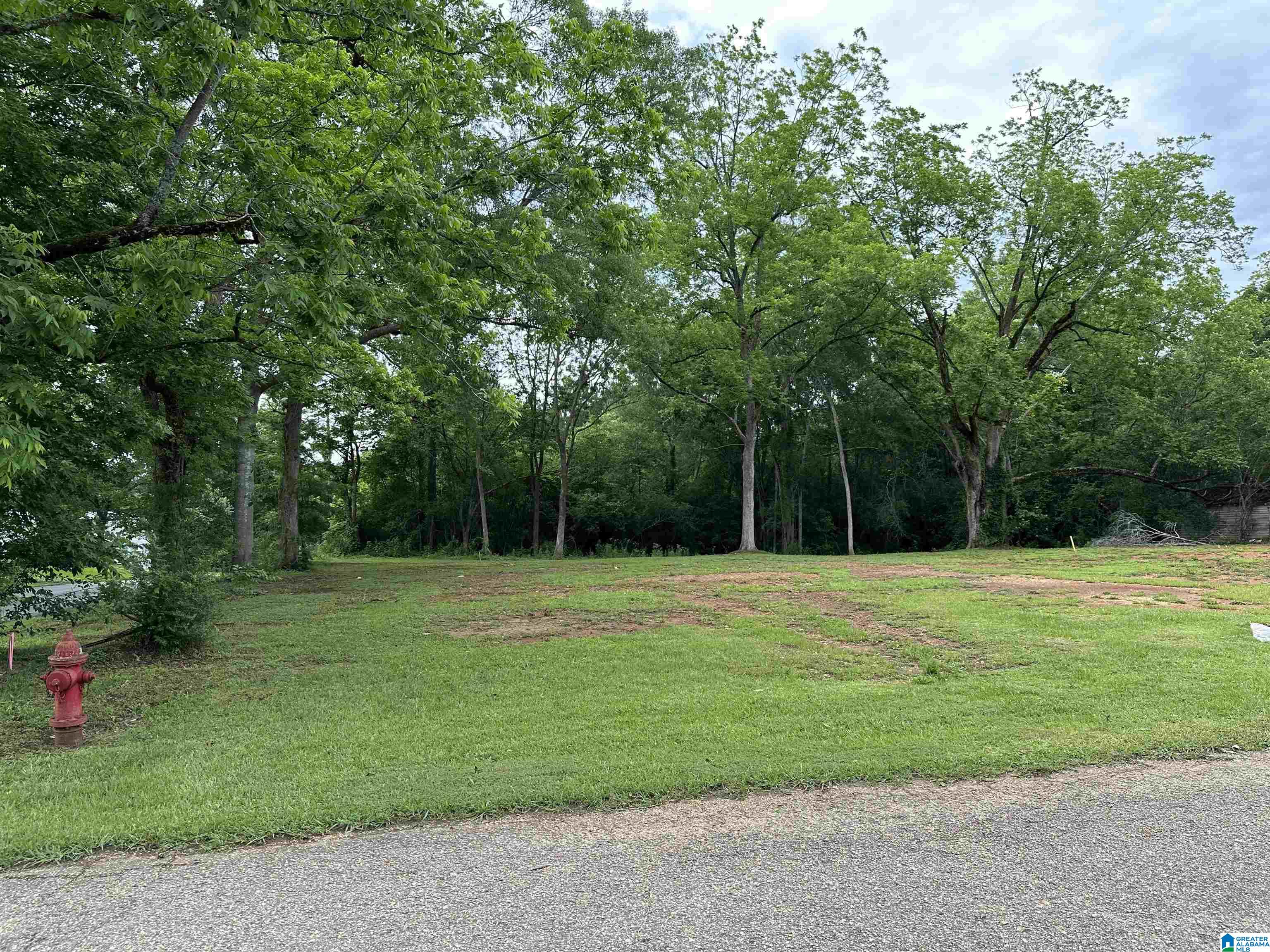 Homes for sale in Wadley, AL | 380 Ashland Avenue, Wadley, AL 36276 | MLS# 21420739