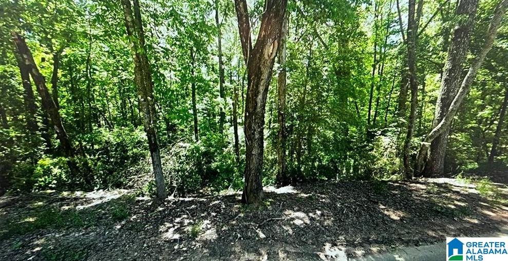 Homes for sale in Lakeview, AL | 0 Kimberly Dr, Lakeview, AL 35111 | MLS# 21420796