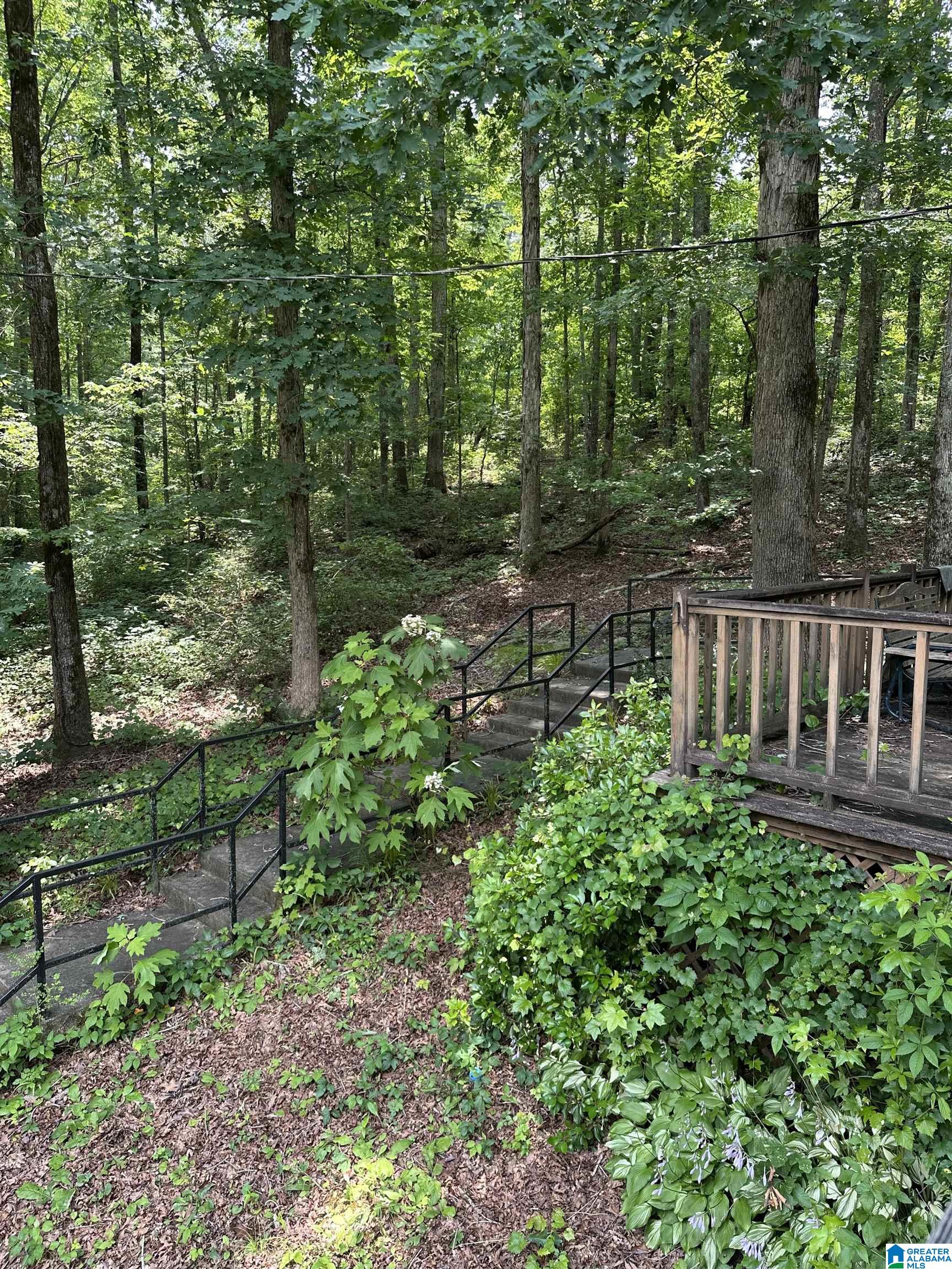 Homes for sale in Woodland, AL | 1009 County Road 619, Woodland, AL 36280 | MLS# 21420886