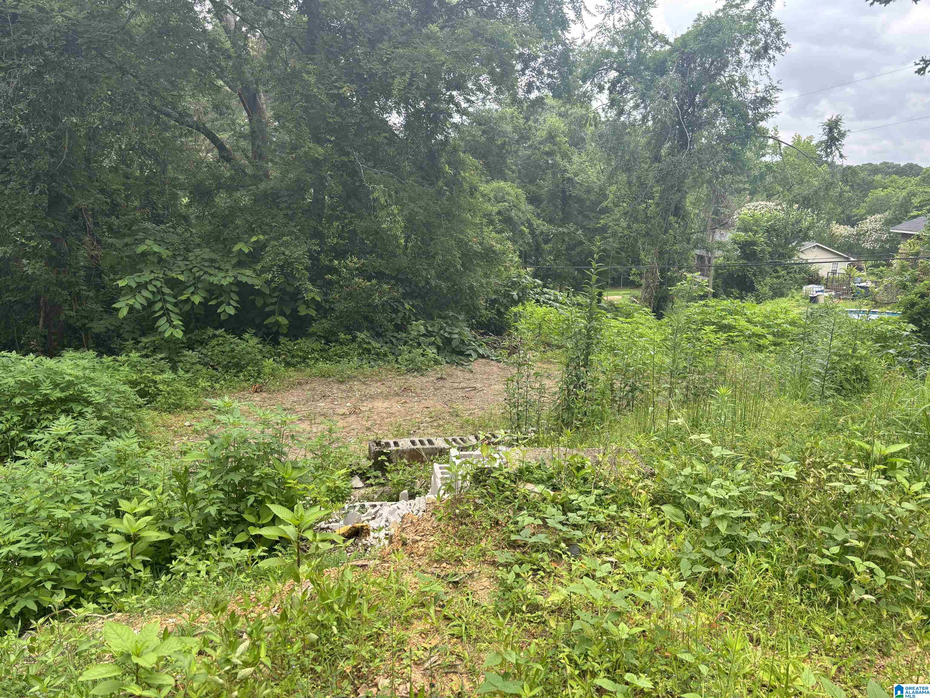 Homes for sale in Gardendale, AL | 224 Iris Dr, Gardendale, AL 35071 | MLS# 21421130