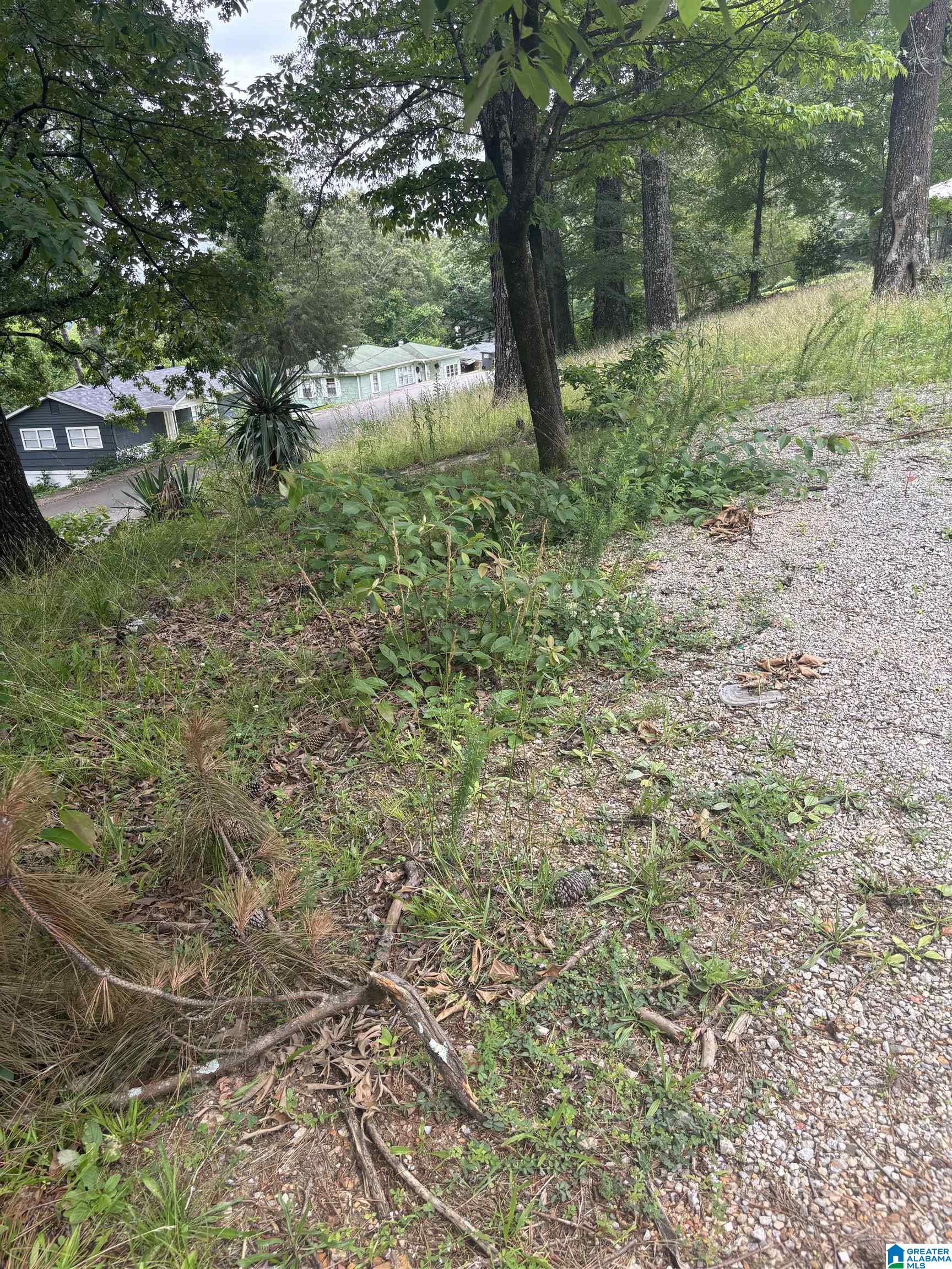 Homes for sale in Gardendale, AL | 224 Iris Dr, Gardendale, AL 35071 | MLS# 21421130