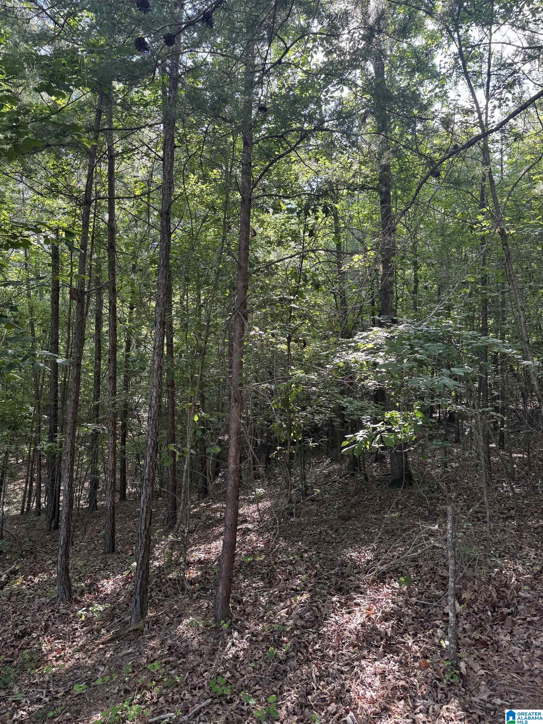 Homes for sale in Helena, AL | 3125 Laurel Lakes Cove, Helena, AL 35022 | MLS# 21421157