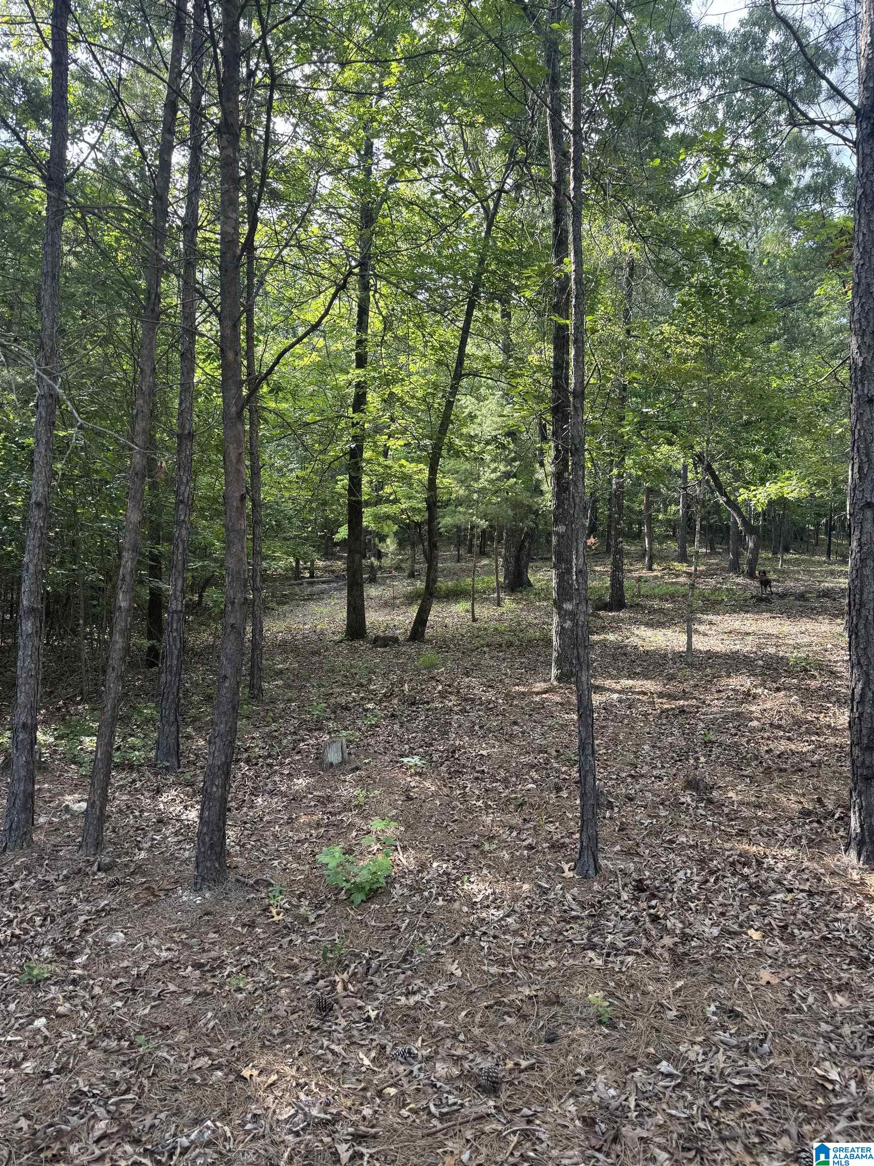 Homes for sale in Helena, AL | 3125 Laurel Lakes Cove, Helena, AL 35022 | MLS# 21421157