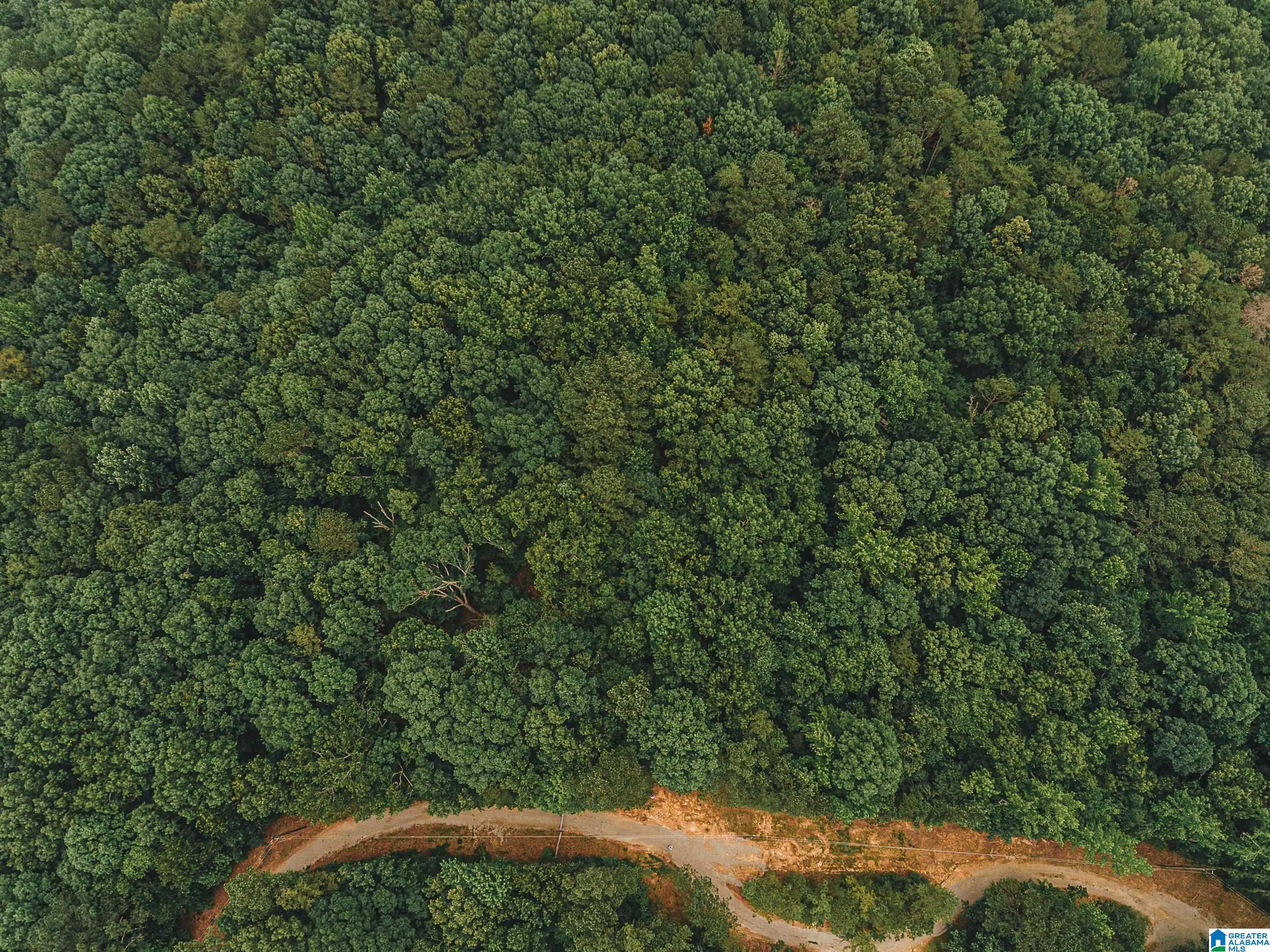 Homes for sale in Munford, AL | 0 Wendwood Circle, Munford, AL 36268 | MLS# 21421274