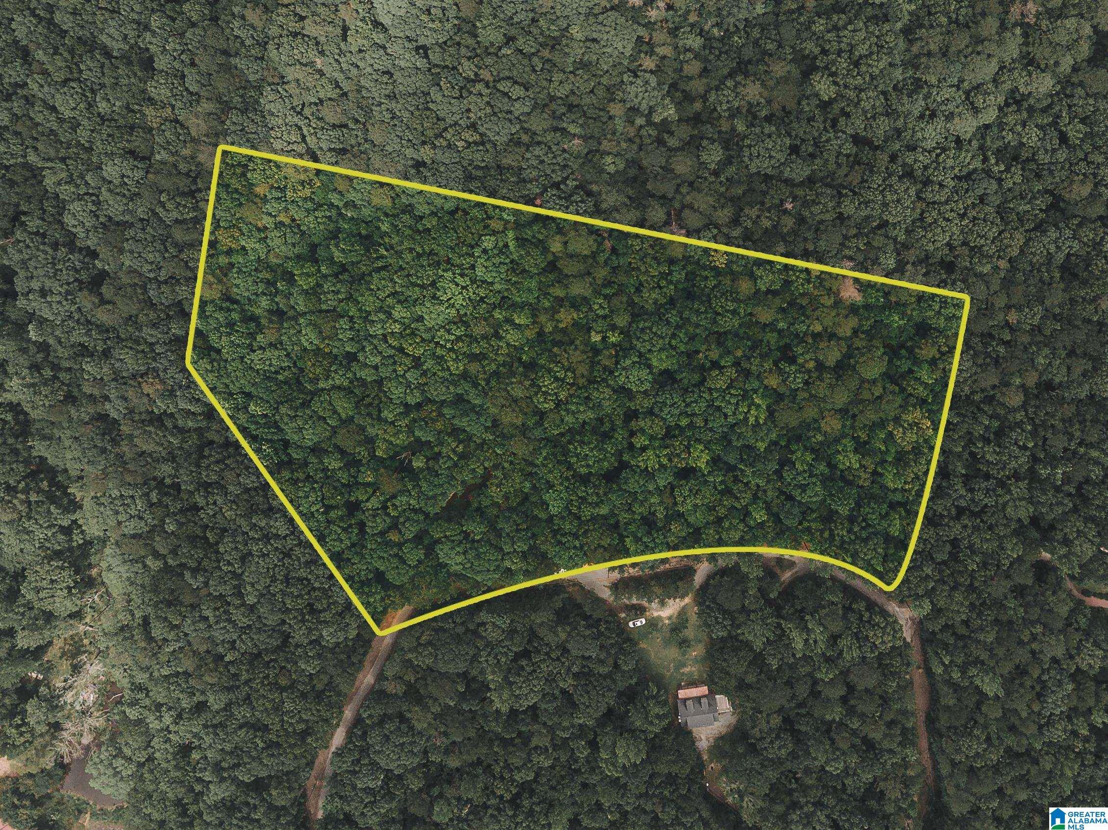 Homes for sale in Munford, AL | 0 Wendwood Circle, Munford, AL 36268 | MLS# 21421274