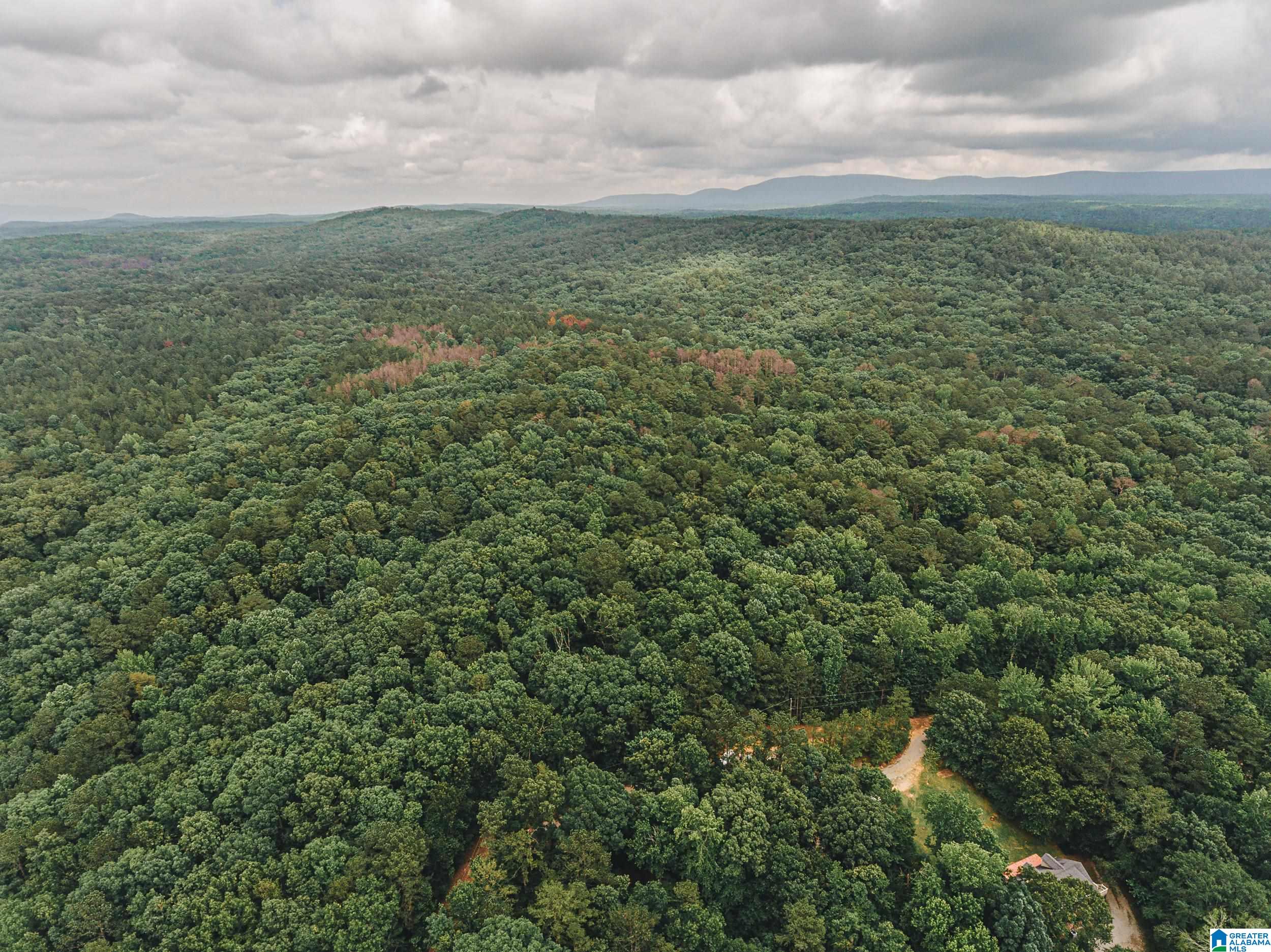 Homes for sale in Munford, AL | 0 Wendwood Circle, Munford, AL 36268 | MLS# 21421274