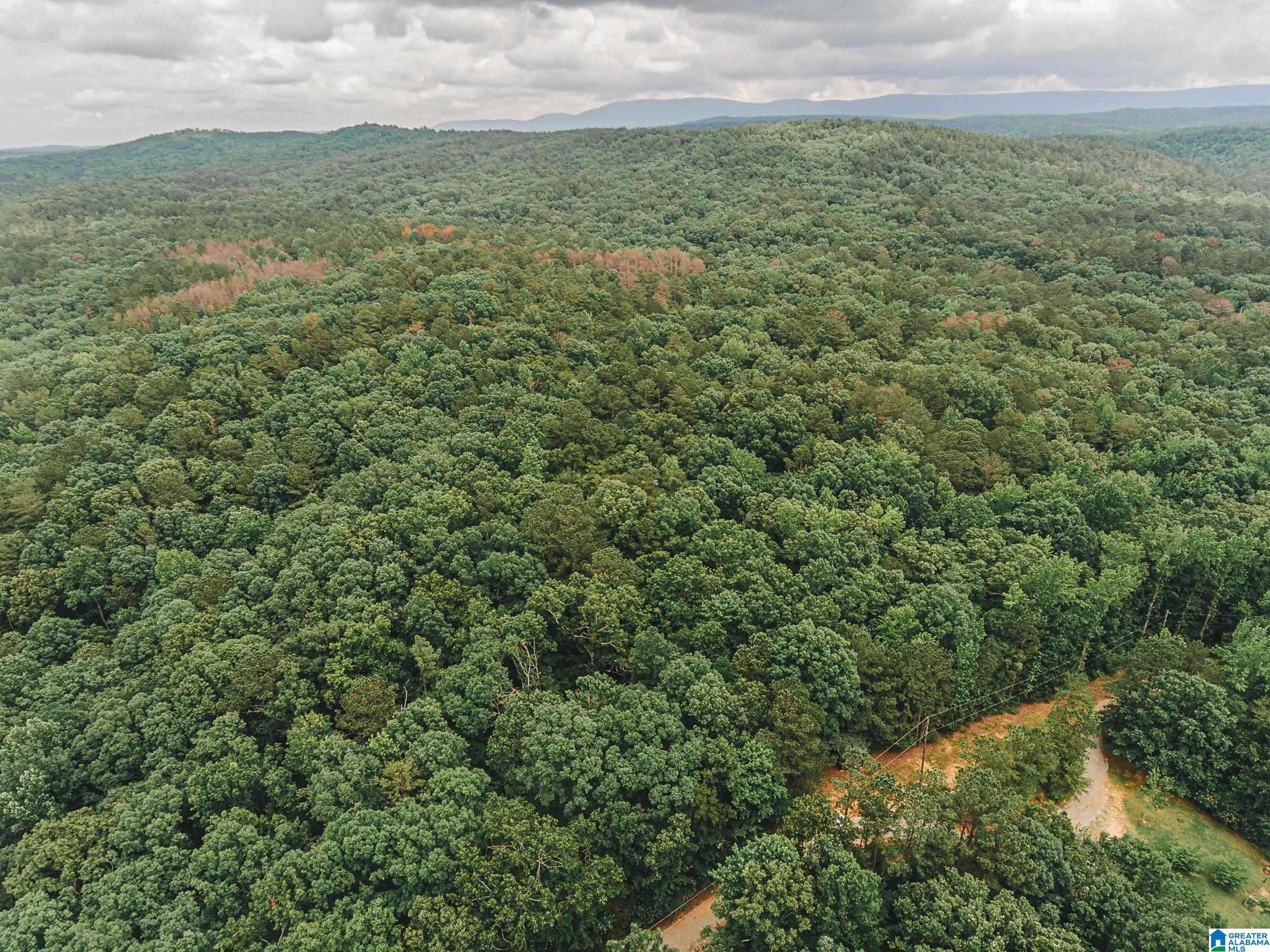 Homes for sale in Munford, AL | 0 Wendwood Circle, Munford, AL 36268 | MLS# 21421274