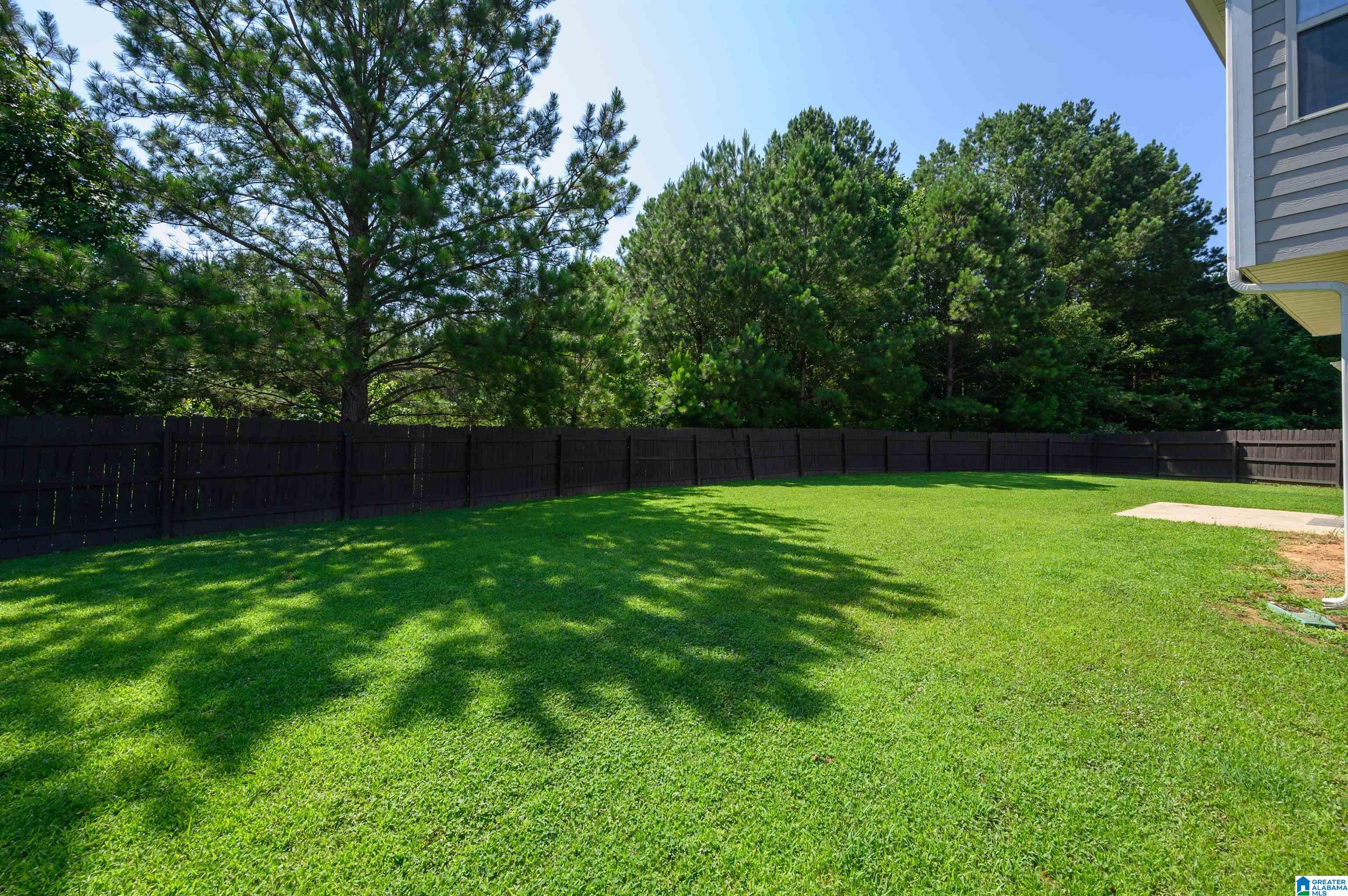 Homes for sale in Springville, AL | 165 Village Springs Cove, Springville, AL 35146 | MLS# 21421293