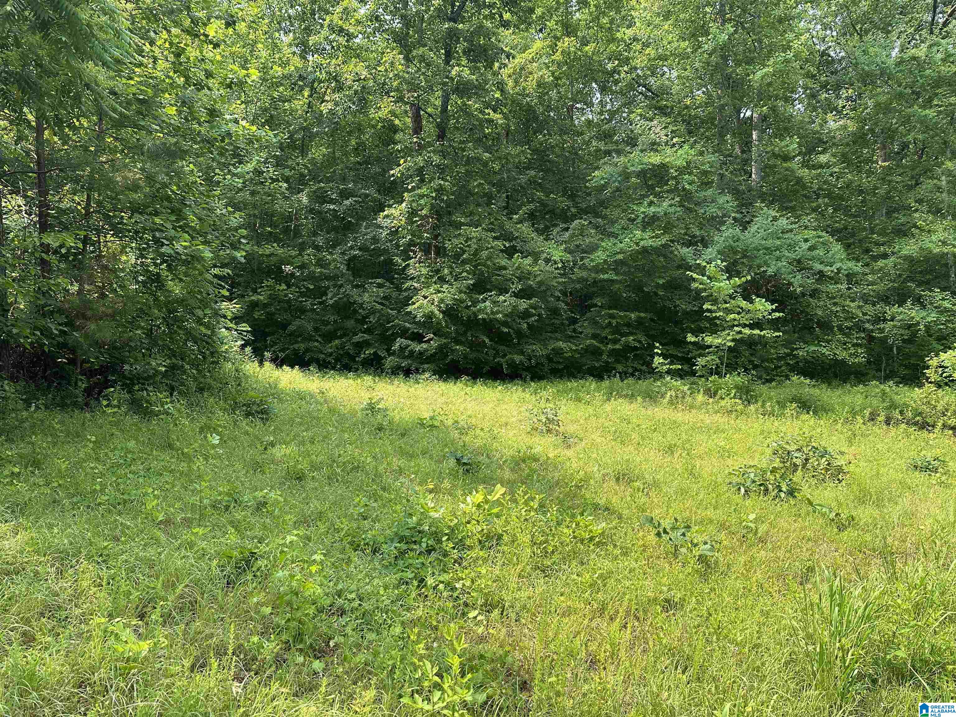 00 COUNTY ROAD 25