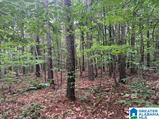 Homes for sale in Pell City, AL | 104 Shell Lane, Pell City, AL 35125 | MLS# 21421372