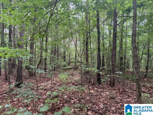 Homes for sale in Pell City, AL | 104 Shell Lane, Pell City, AL 35125 | MLS# 21421372