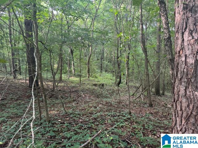 Homes for sale in Pell City, AL | 104 Shell Lane, Pell City, AL 35125 | MLS# 21421372